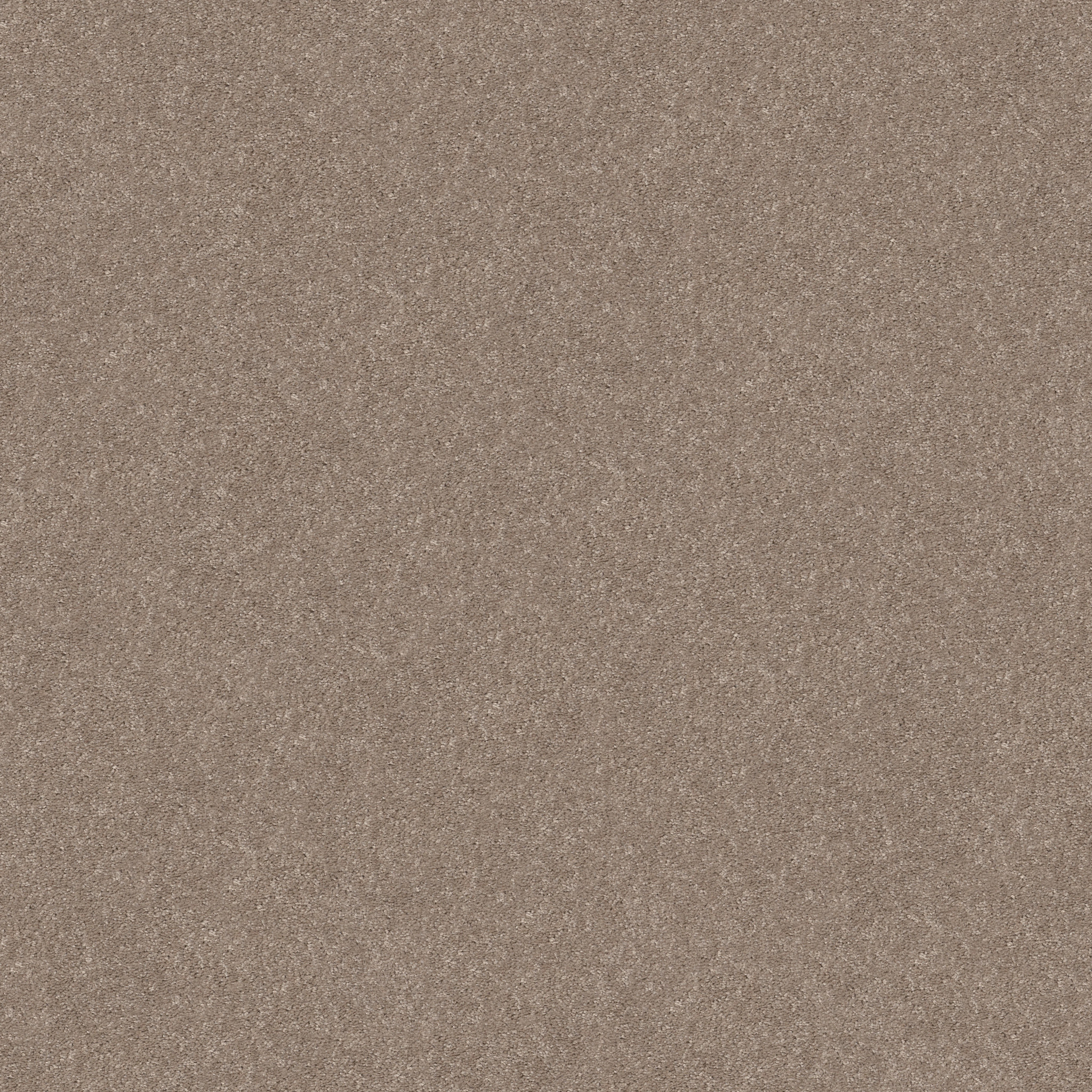 SMOOTH TALK I BUFFINGTON MAIN