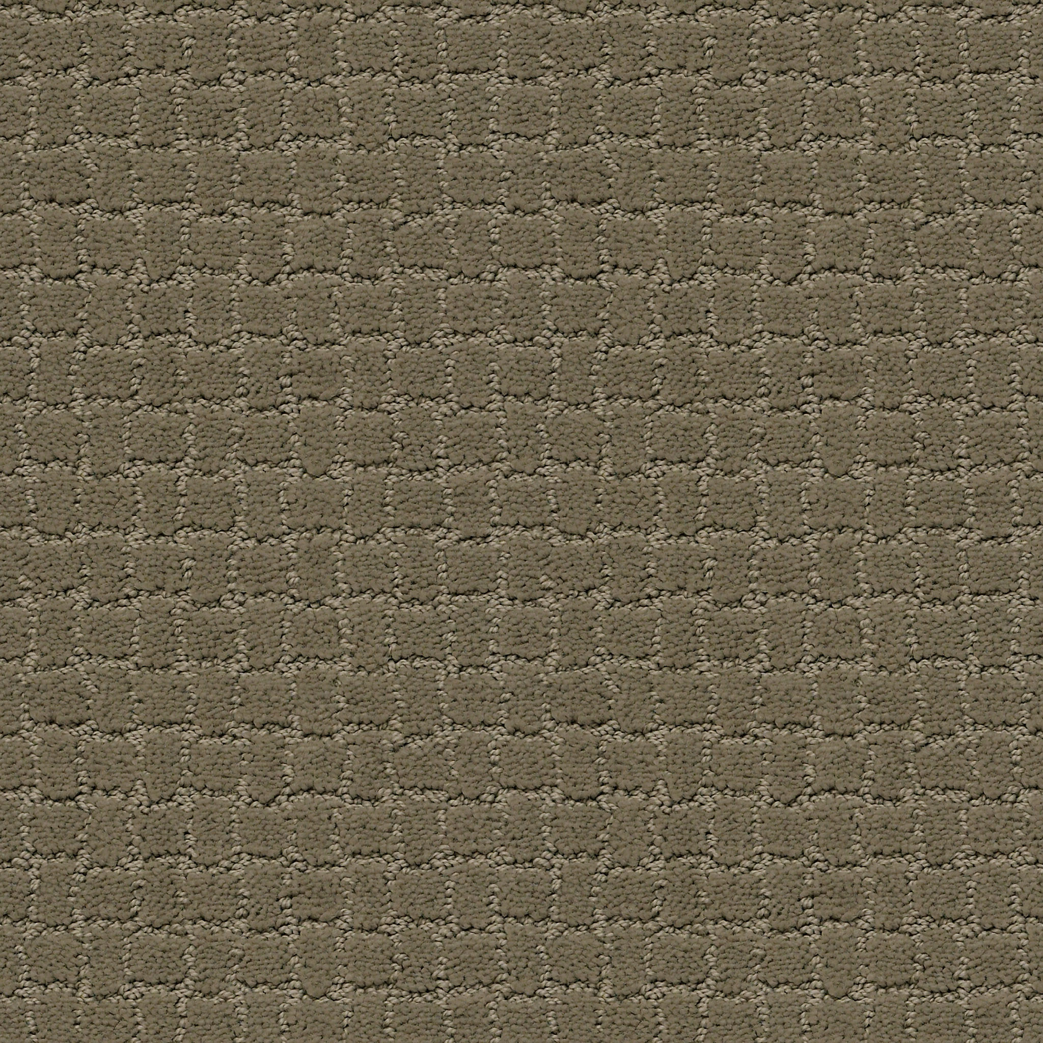 PAWSTRUCK DRY SAGE MAIN