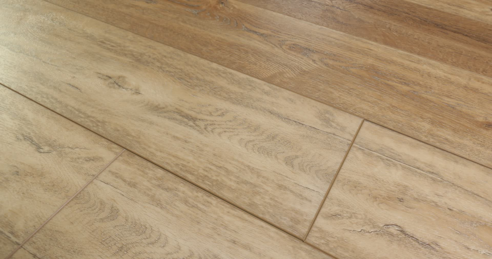 PANTHEON HD PLUS FORESTA 360PROD