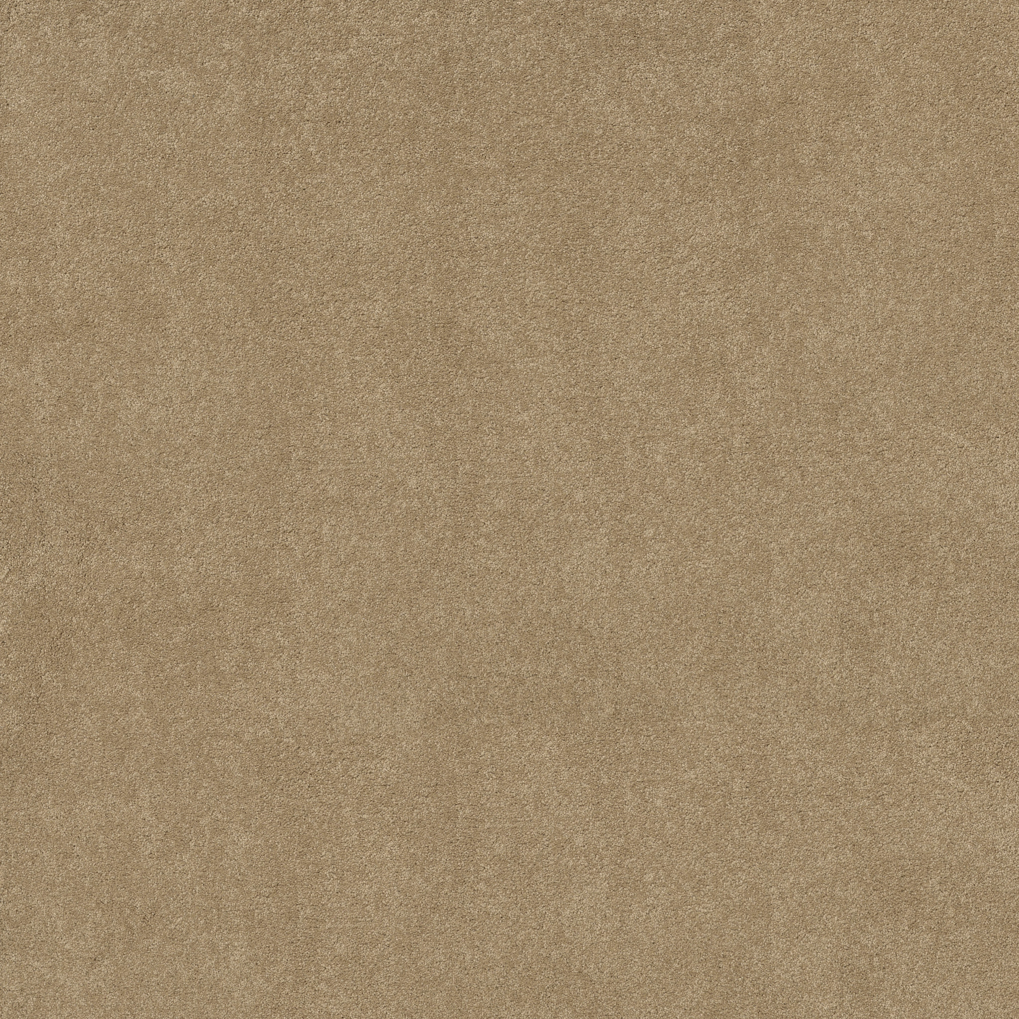 MAJORITY RULES OAKWOOD MAIN