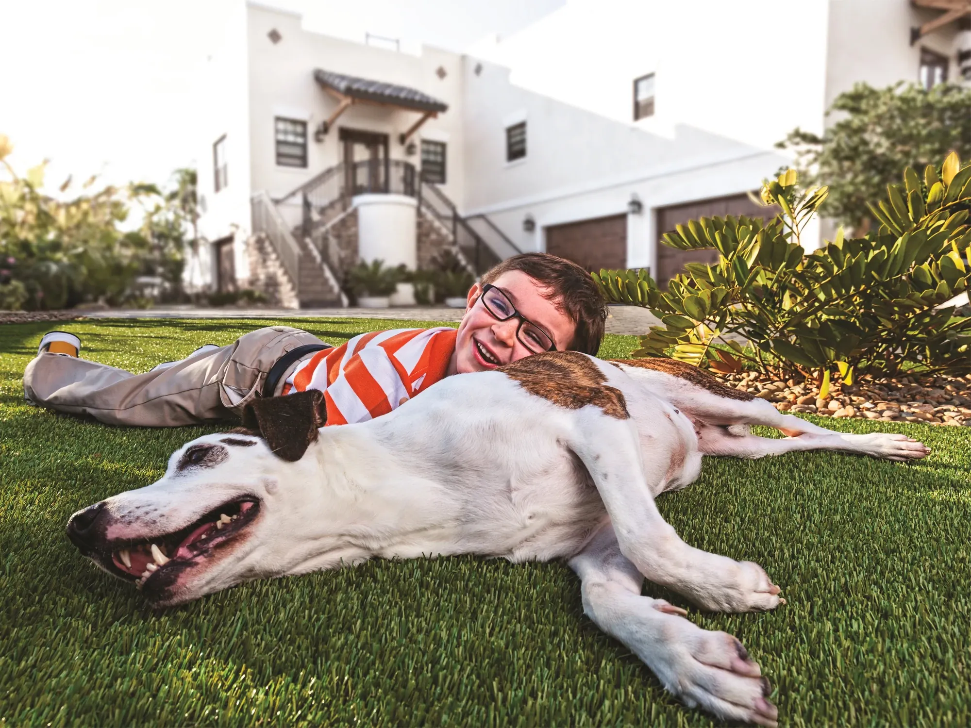 Dog lying on artificial grass in front of modern house