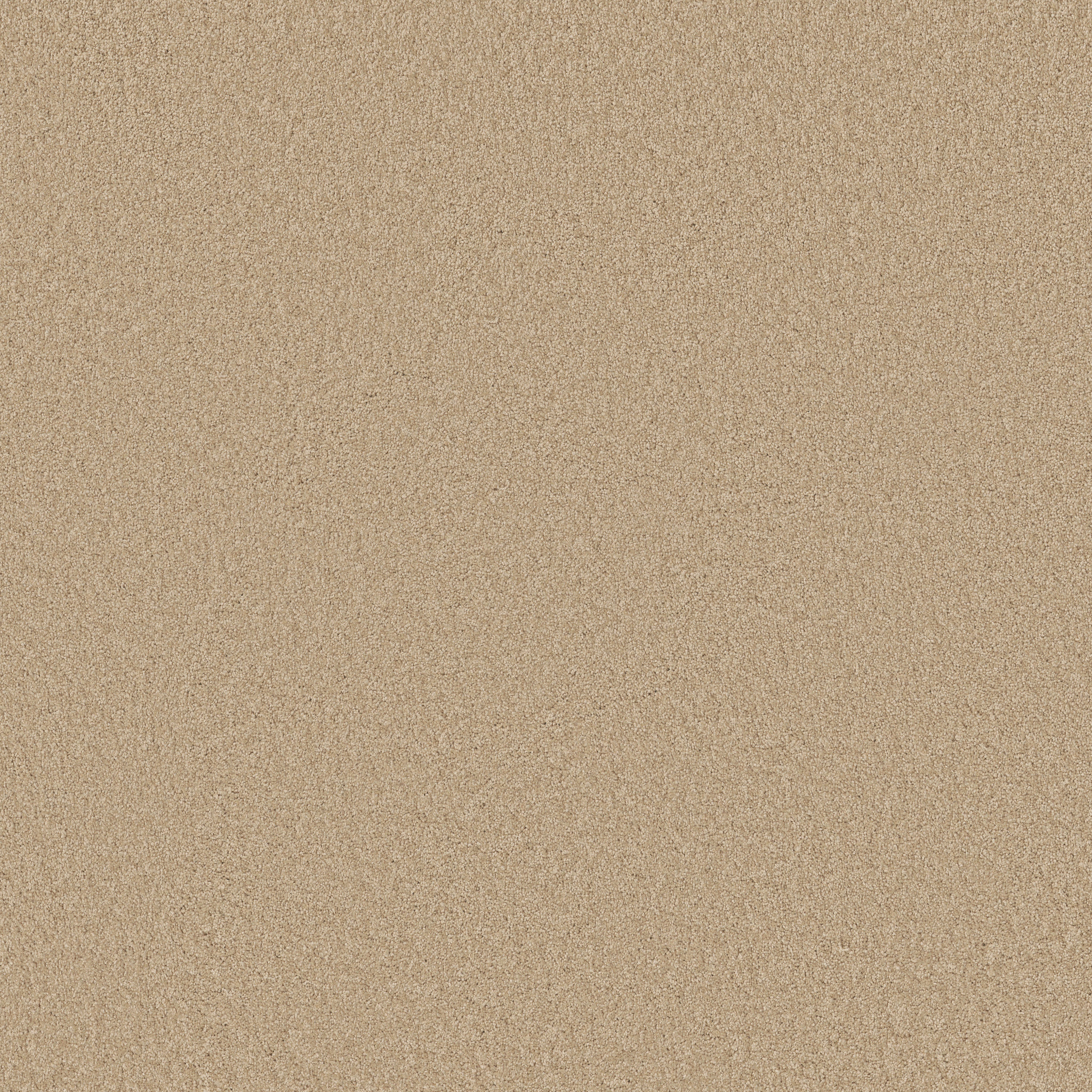 KEEN SENSES II GOLDEN RULE MAIN