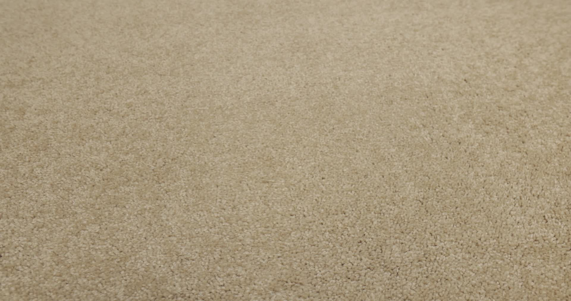 TIMELESS APPEAL I 12' STUCCO 360PROD