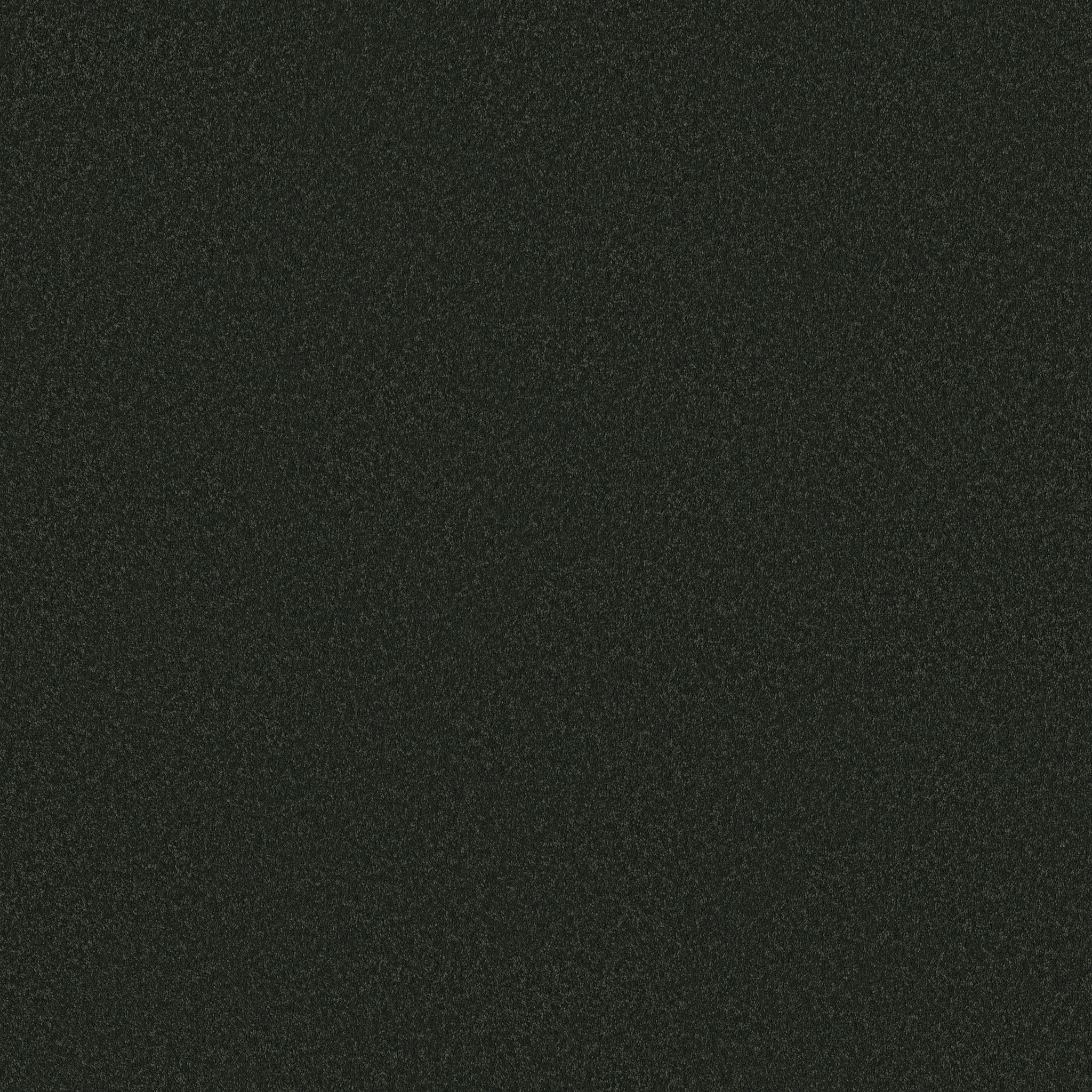 SMOOTH TONE BLUE EVERGREEN MAIN