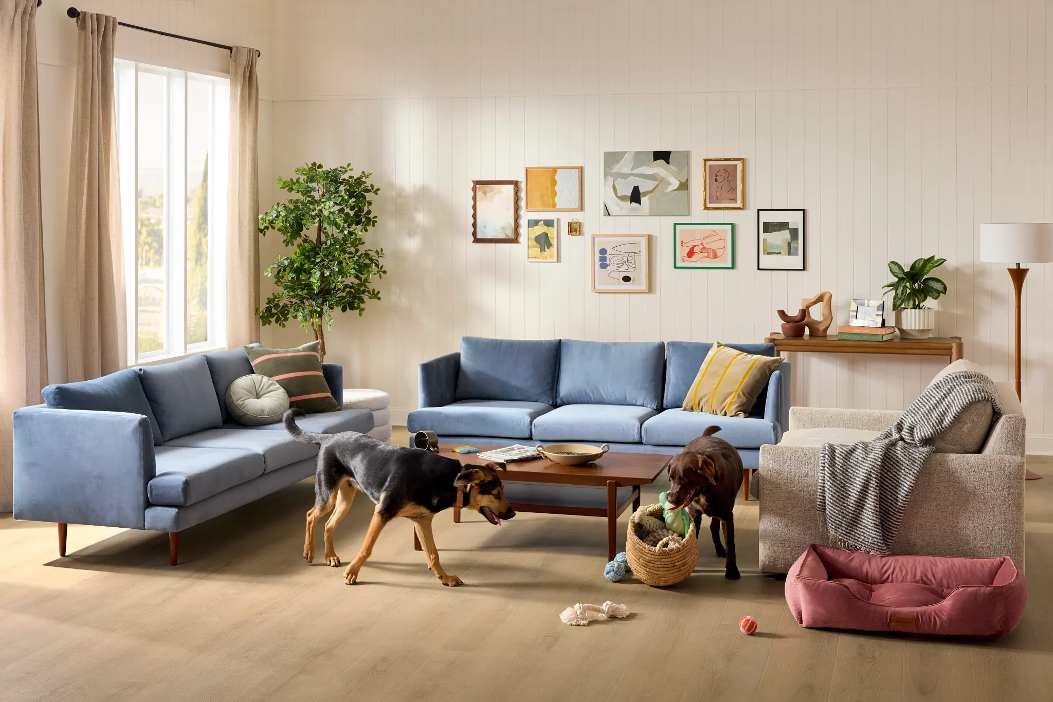 Cozy living room with durable carpet flooring, featuring a mustard yellow sofa, a white armchair, and a playful dog