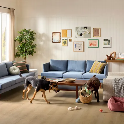 Durable Laminate Flooring for Pets | Shaw Pet Perfect Durable Laminate Flooring for Pets | Shaw Pet Perfect