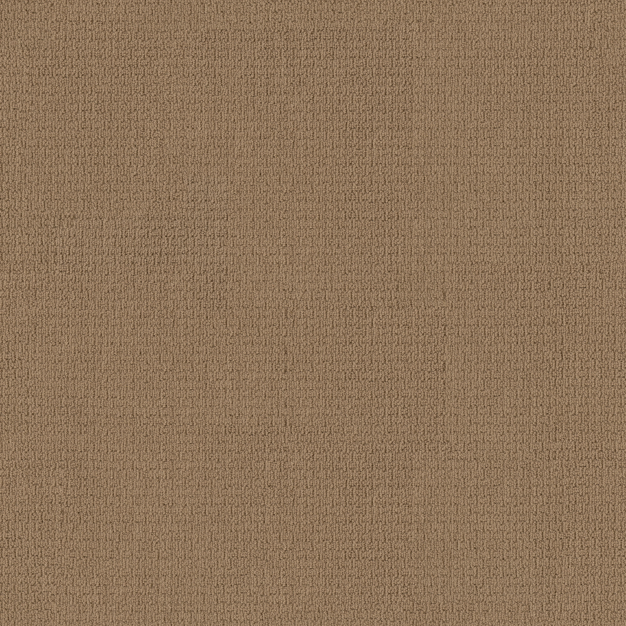Aya② Casual Life - 100% ANSO® Nylon in Tiger Eye | AndersonTuftex