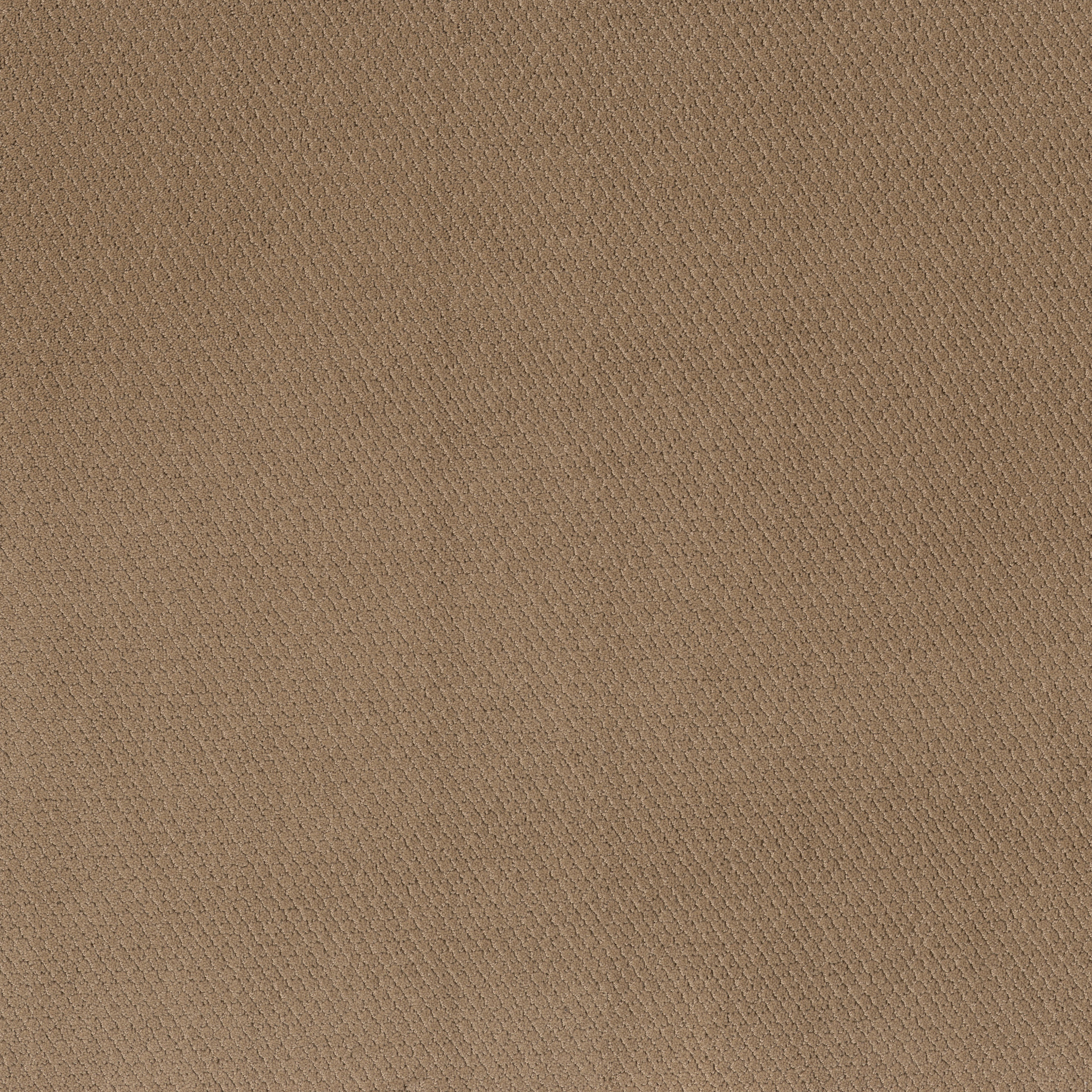 SIMPLY CLASSIC WORN  PATH MAIN