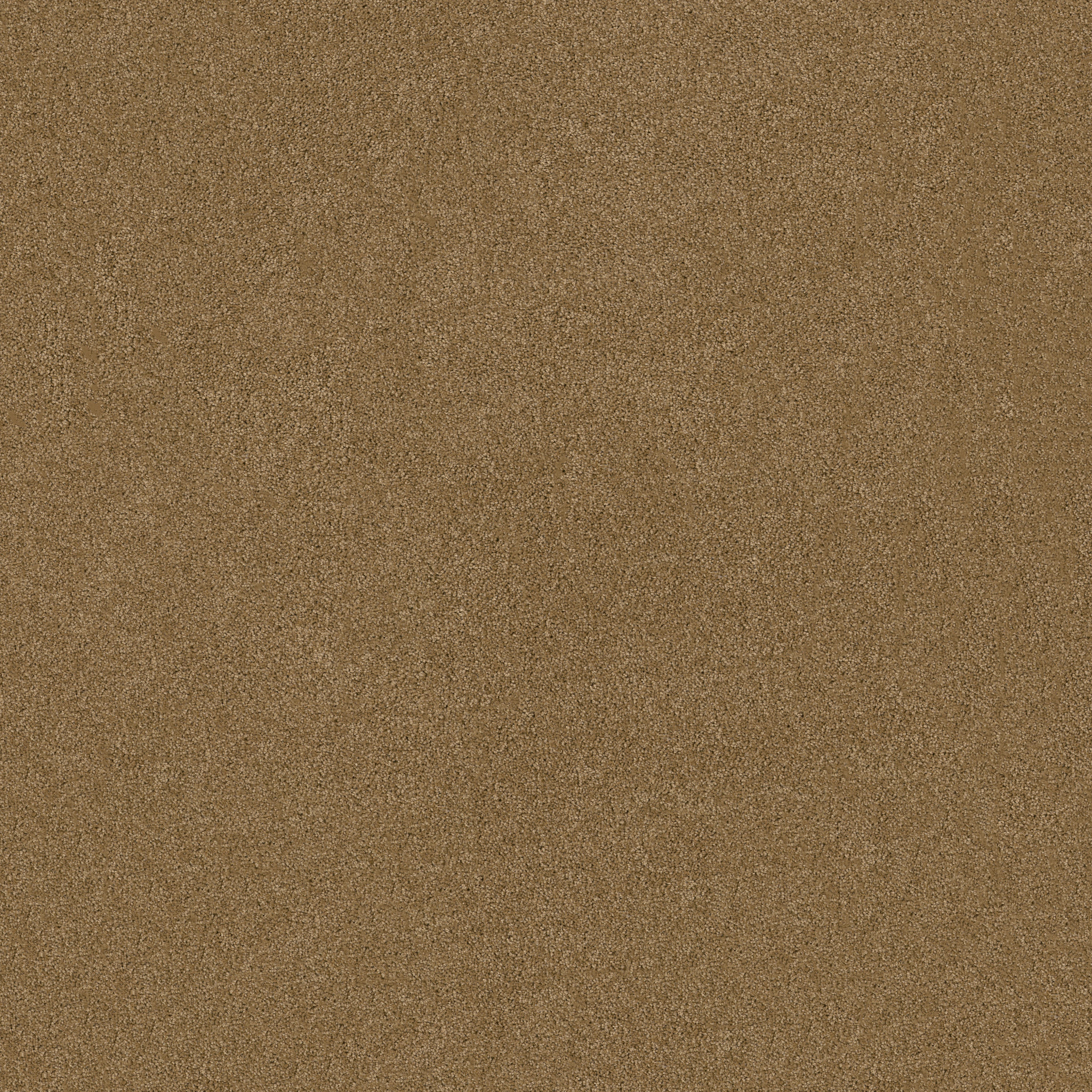 DREAMS I TIGER EYE MAIN