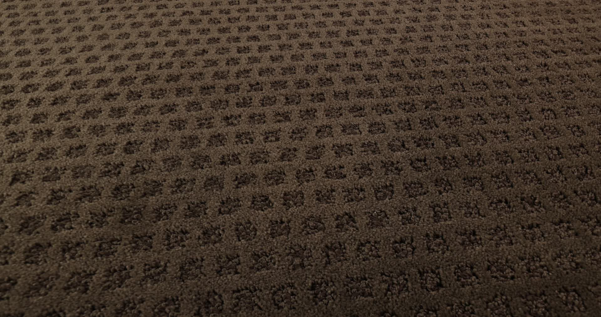 THE ARTS BISON 360PROD