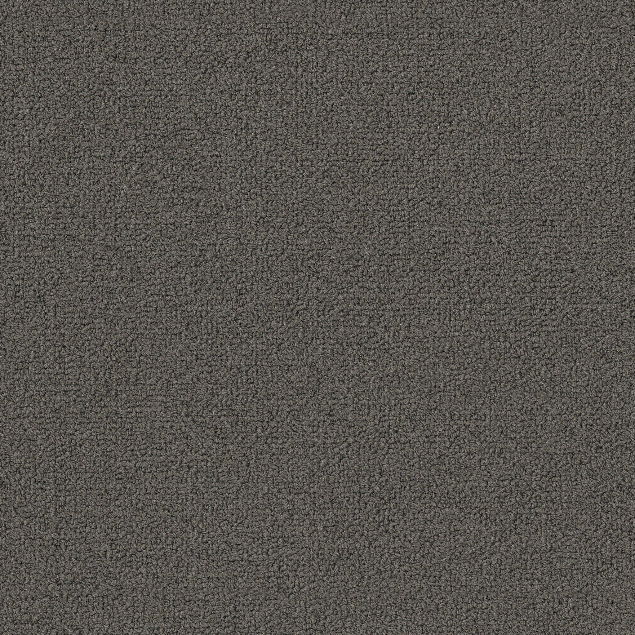 COLOR-ACCENTS-BL-54584-DOLPHIN-62557-main-image