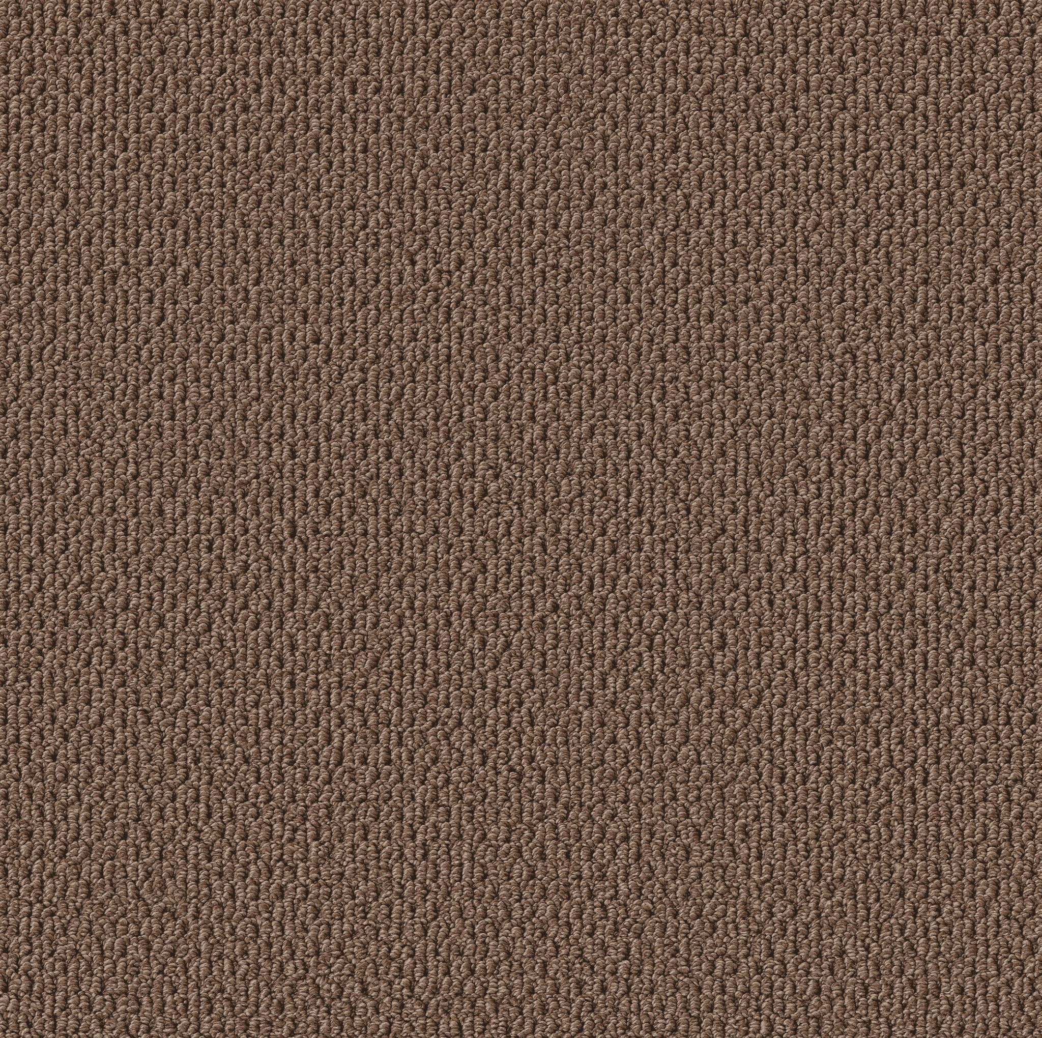 PERSPECTIVE PATH GROUNDED MAIN