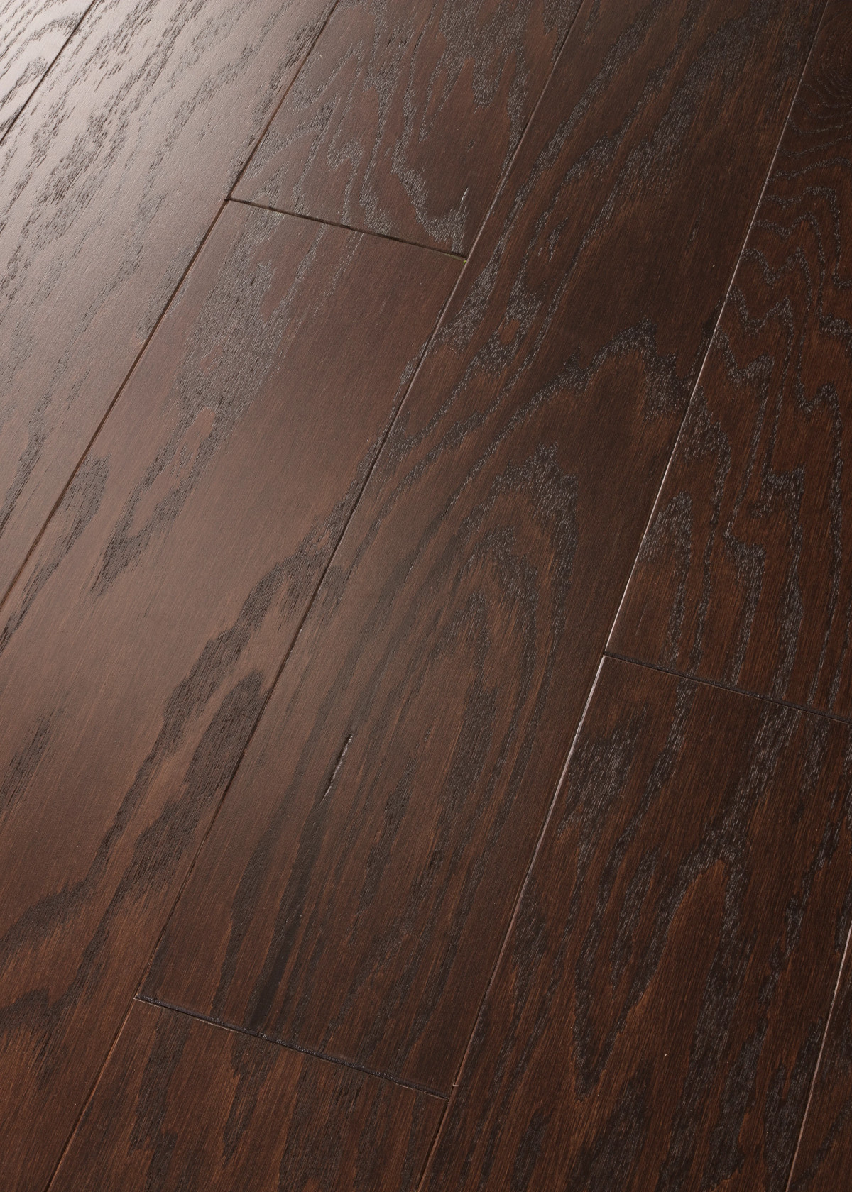 Timeless Oak 5"