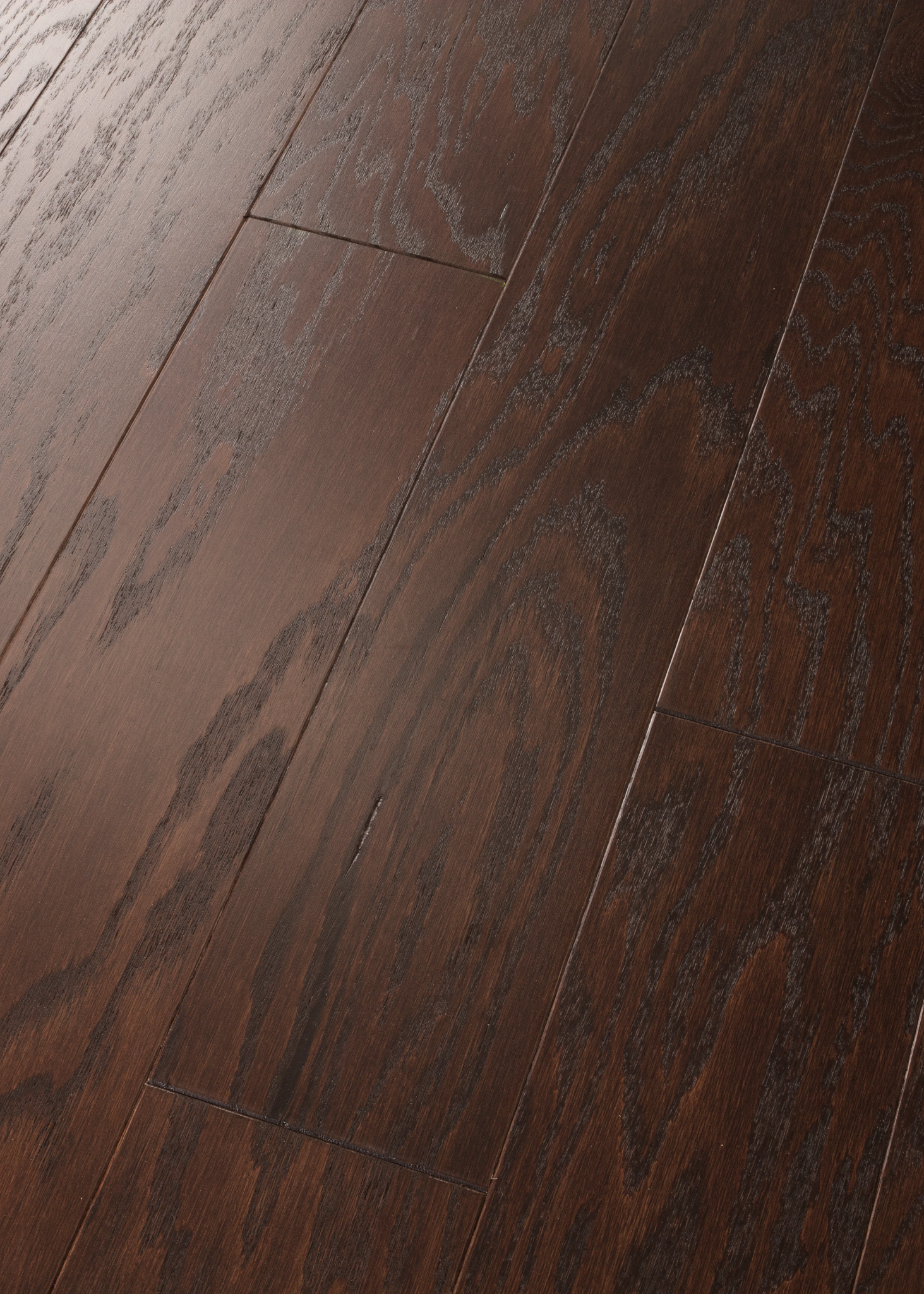 TIMELESS OAK 5