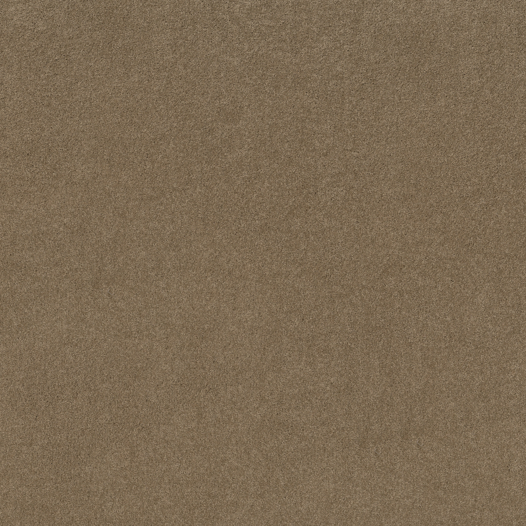 MY INSPIRATION I TWIG MAIN