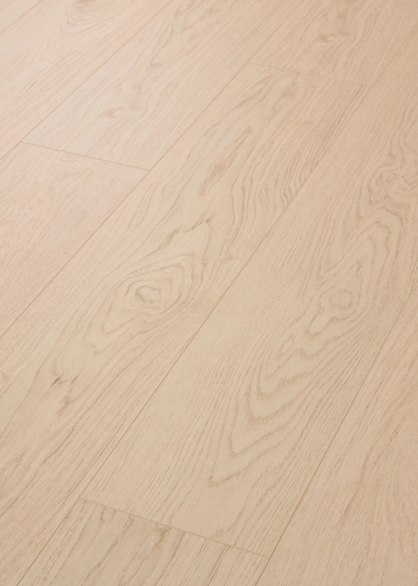 OAK GROVE PAMPAS GRASS ANGLED