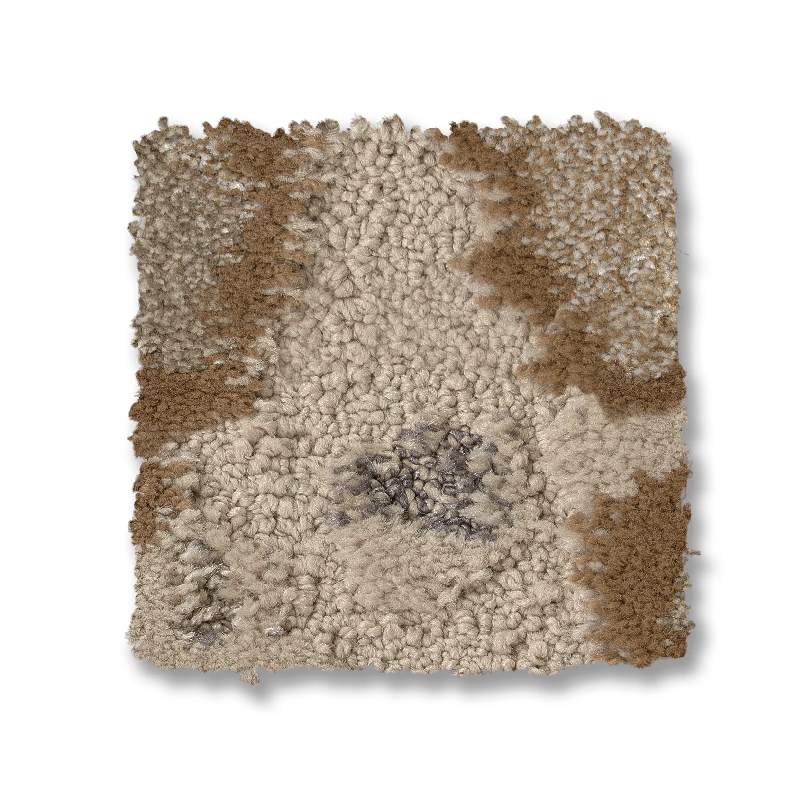 CARRERA CAMEL SWATCH