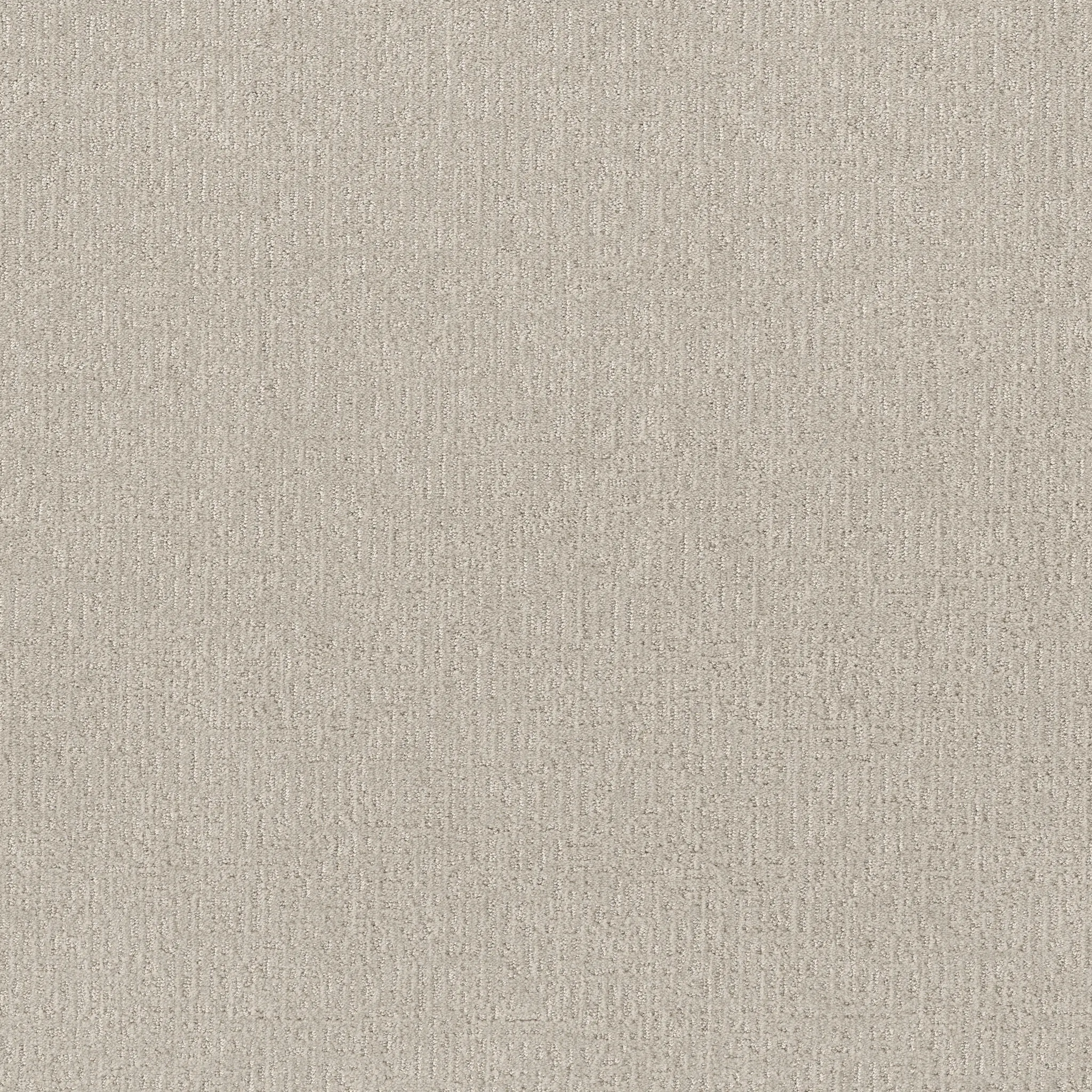 Textured beige carpet swatch showcasing a subtle pattern for a cozy and durable home flooring option