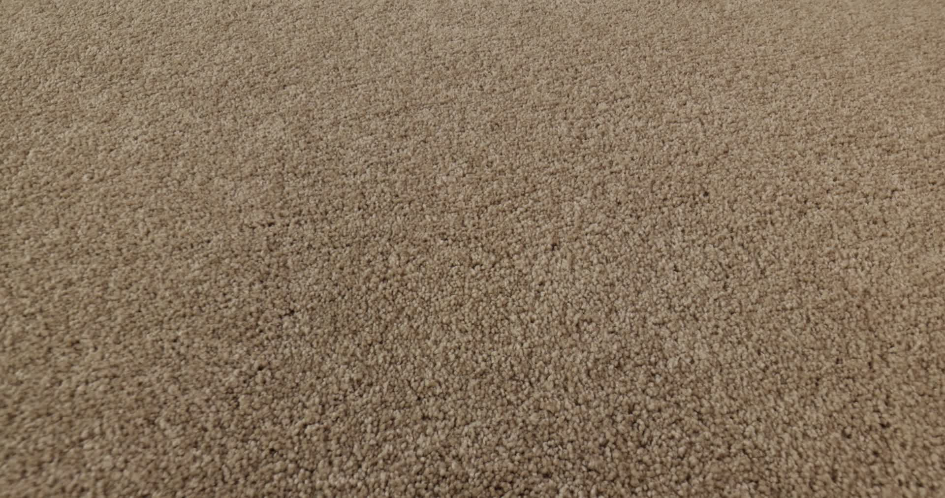 MAJORITY RULES HAVANA 360PROD