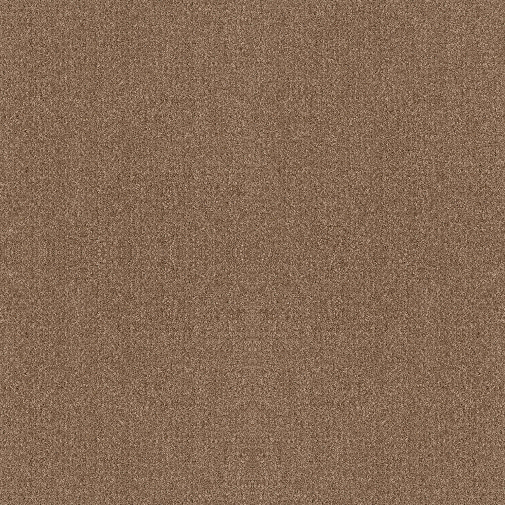 FINE TAPESTRY RAW WOOD MAIN