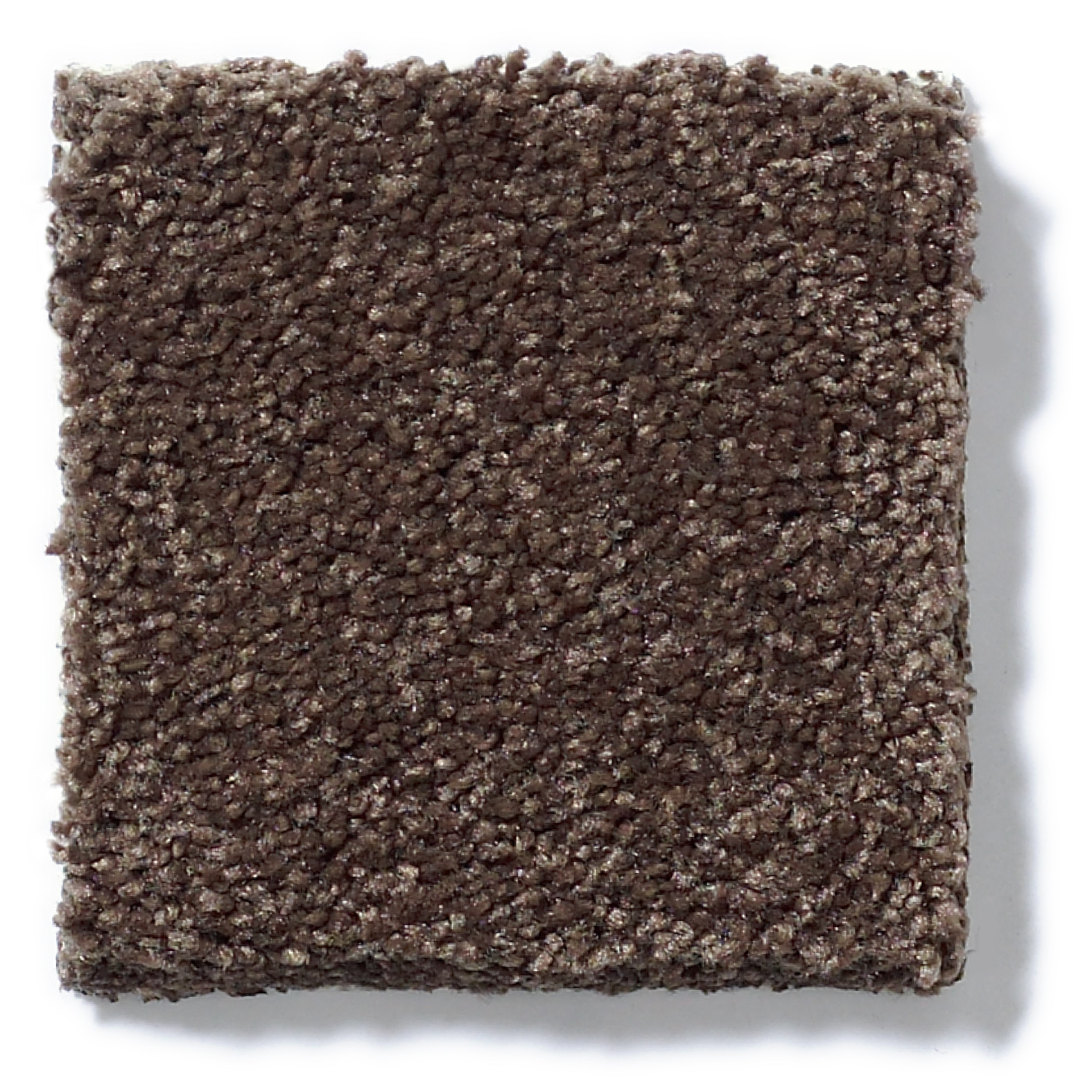 SWEET LIFE MAPLE SWATCH