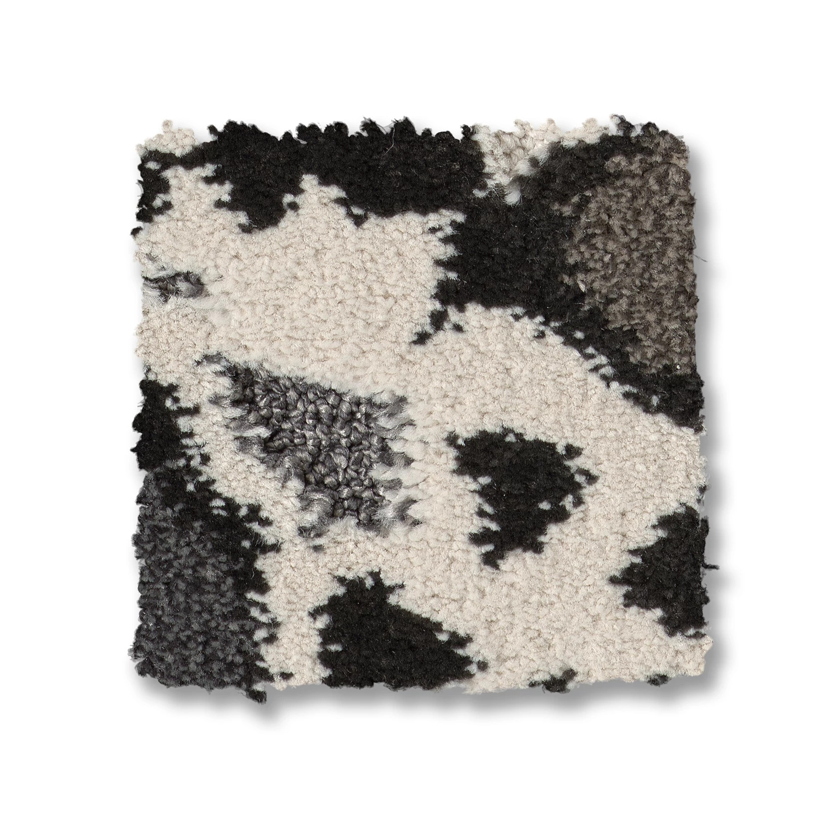 CARRERA MODERN VIBE SWATCH