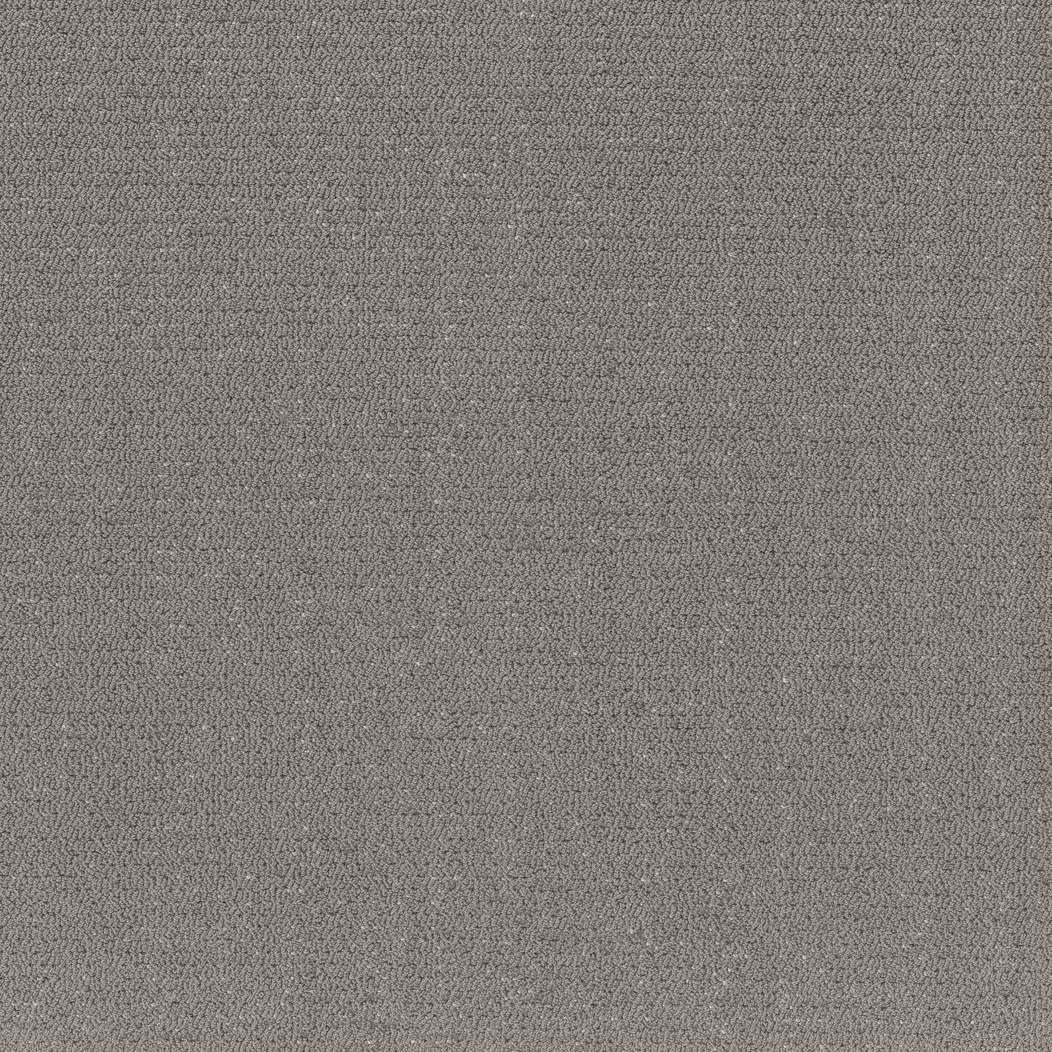 Intricate Trace VINTAGE MAIN