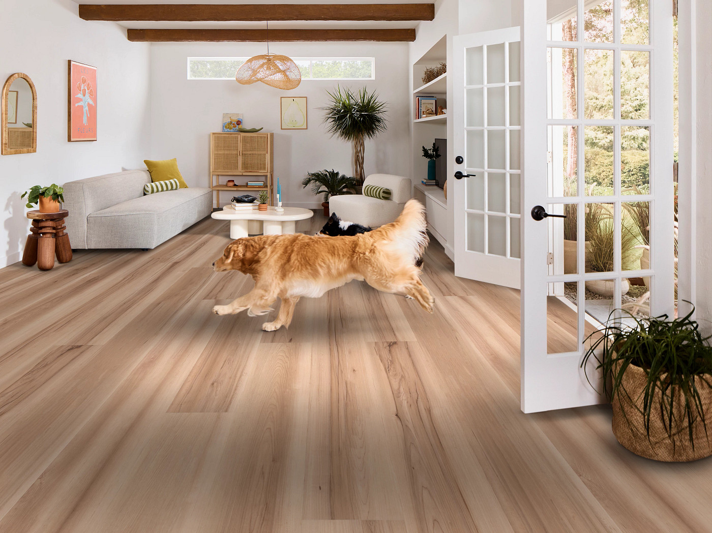 Ecru Maple flooring, shown in a room