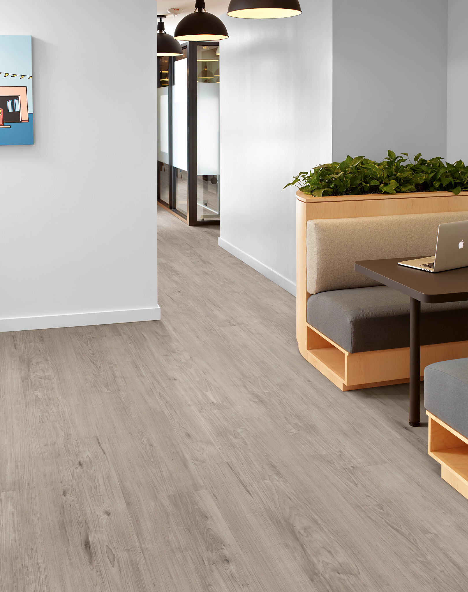 PURVIEW-5.0-5037V-NOMADIC-00705-room-image