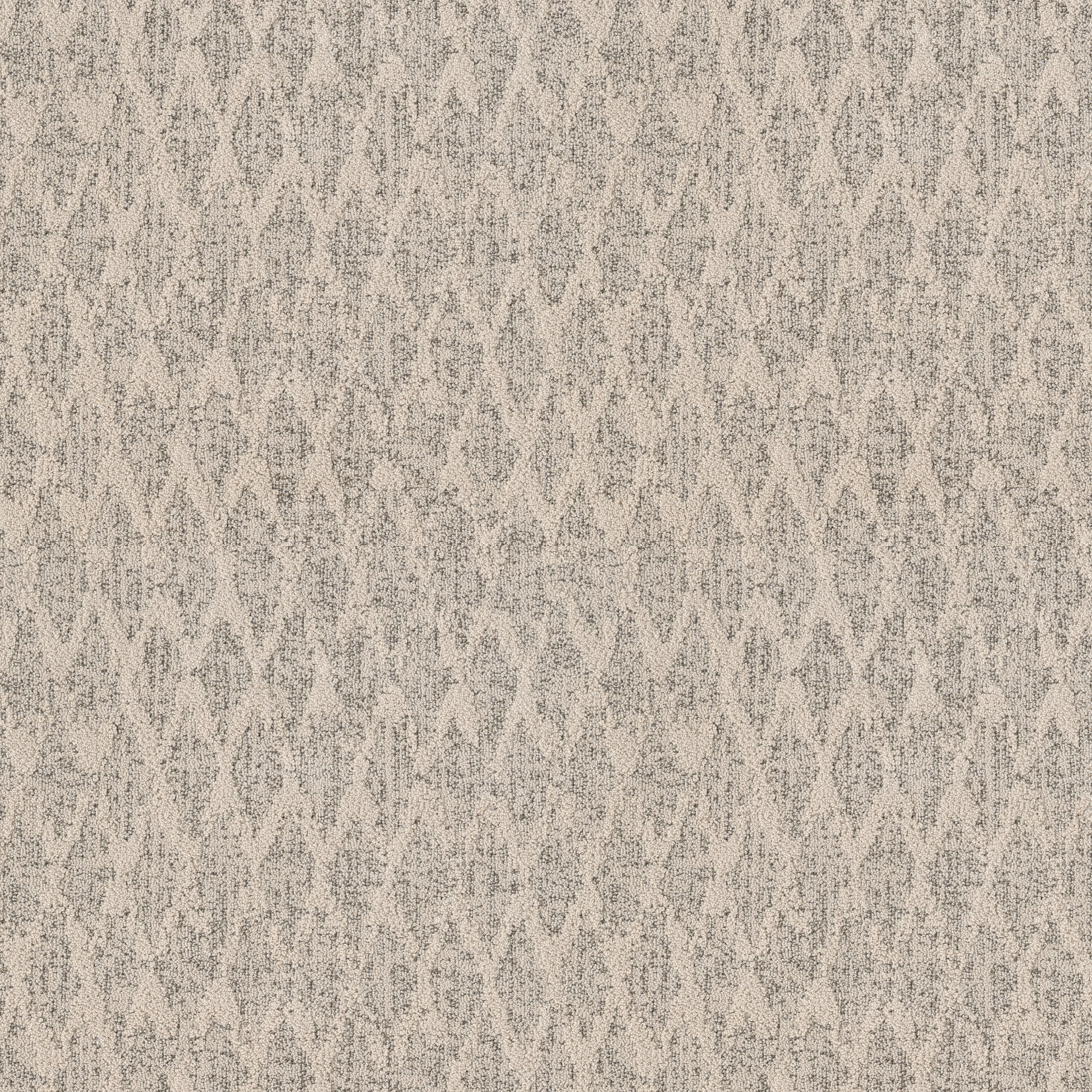 ILLUMINATION POSH MAIN