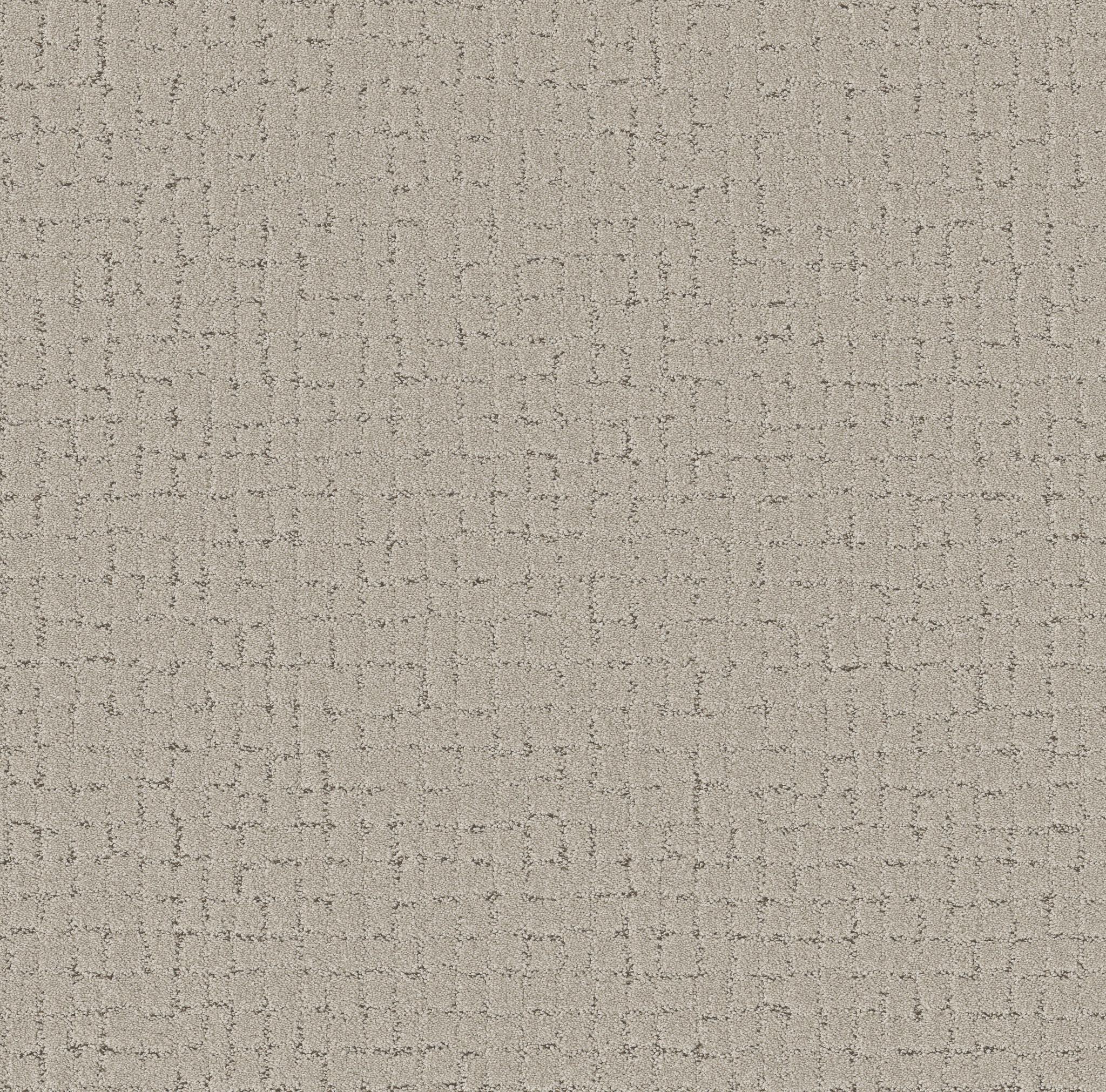 BLOCK PARTY RIVER BIRCH MAIN