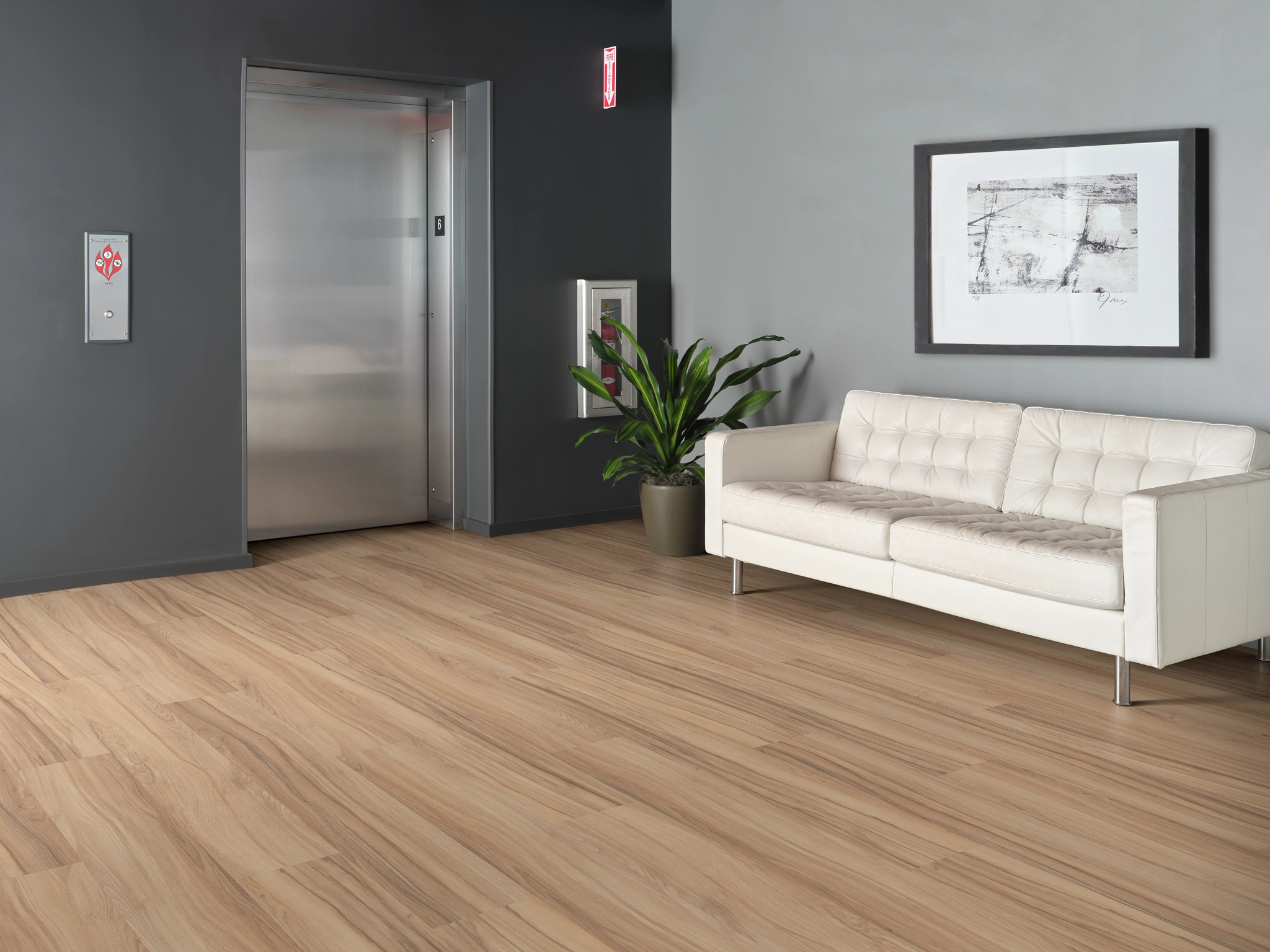 REWILD-5667V-UNTAMED-00700-room-image