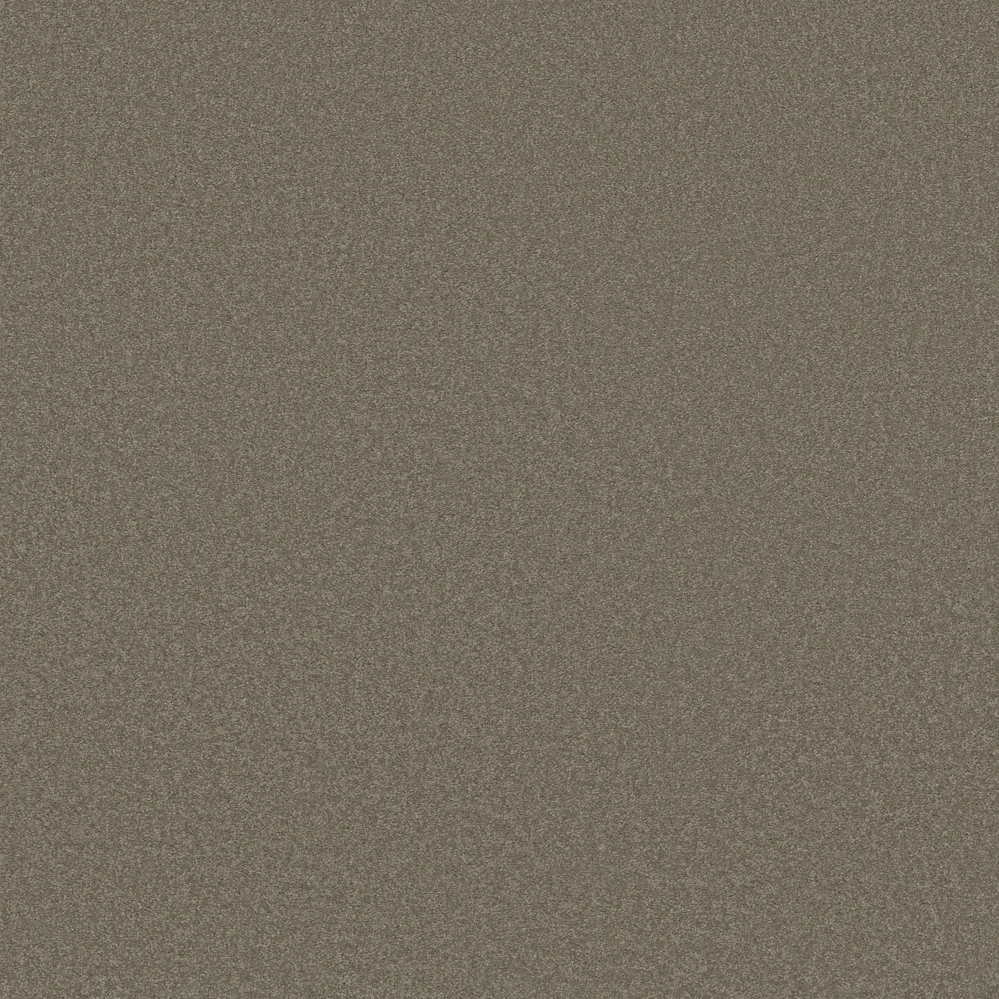 SANDY HOLLOW CLASSIC III 12' WOOD SMOKE MAIN