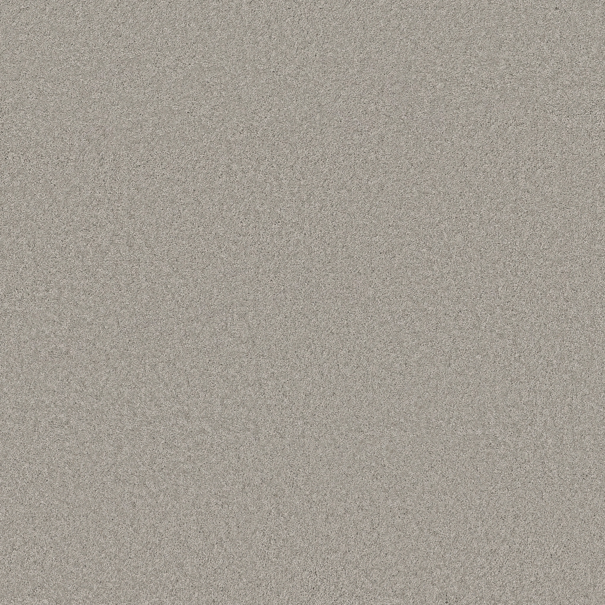 ENCHANTING SUMMER RAIN MAIN