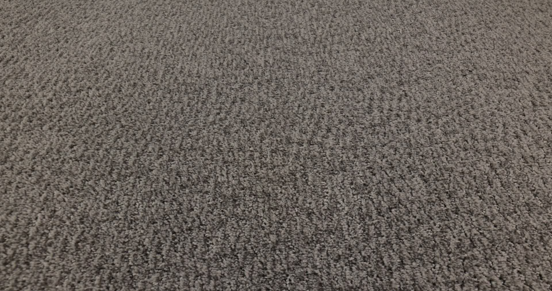 FUR-EVER ROCKPORT 360PROD