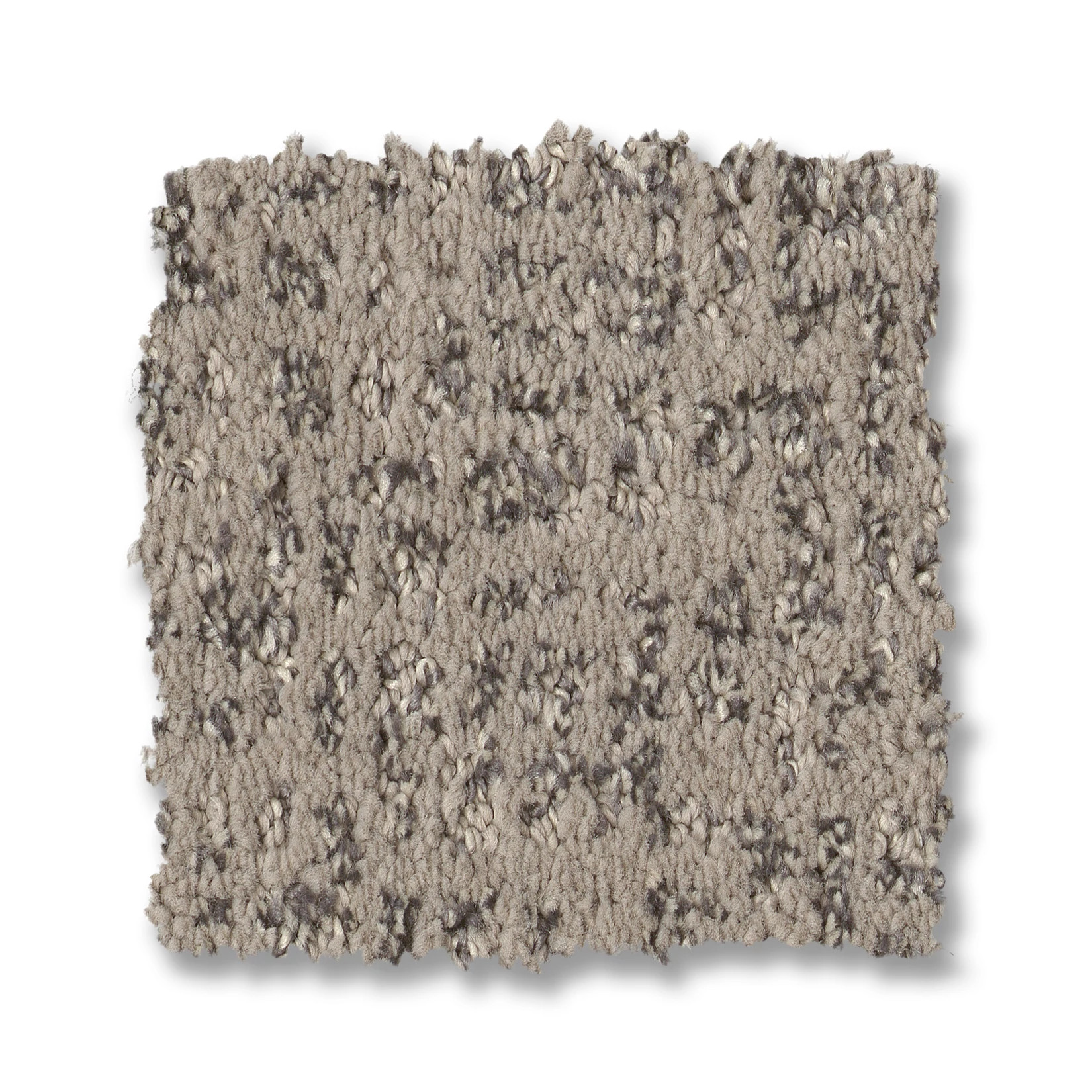 CABOODLE GROUNDED SWATCH