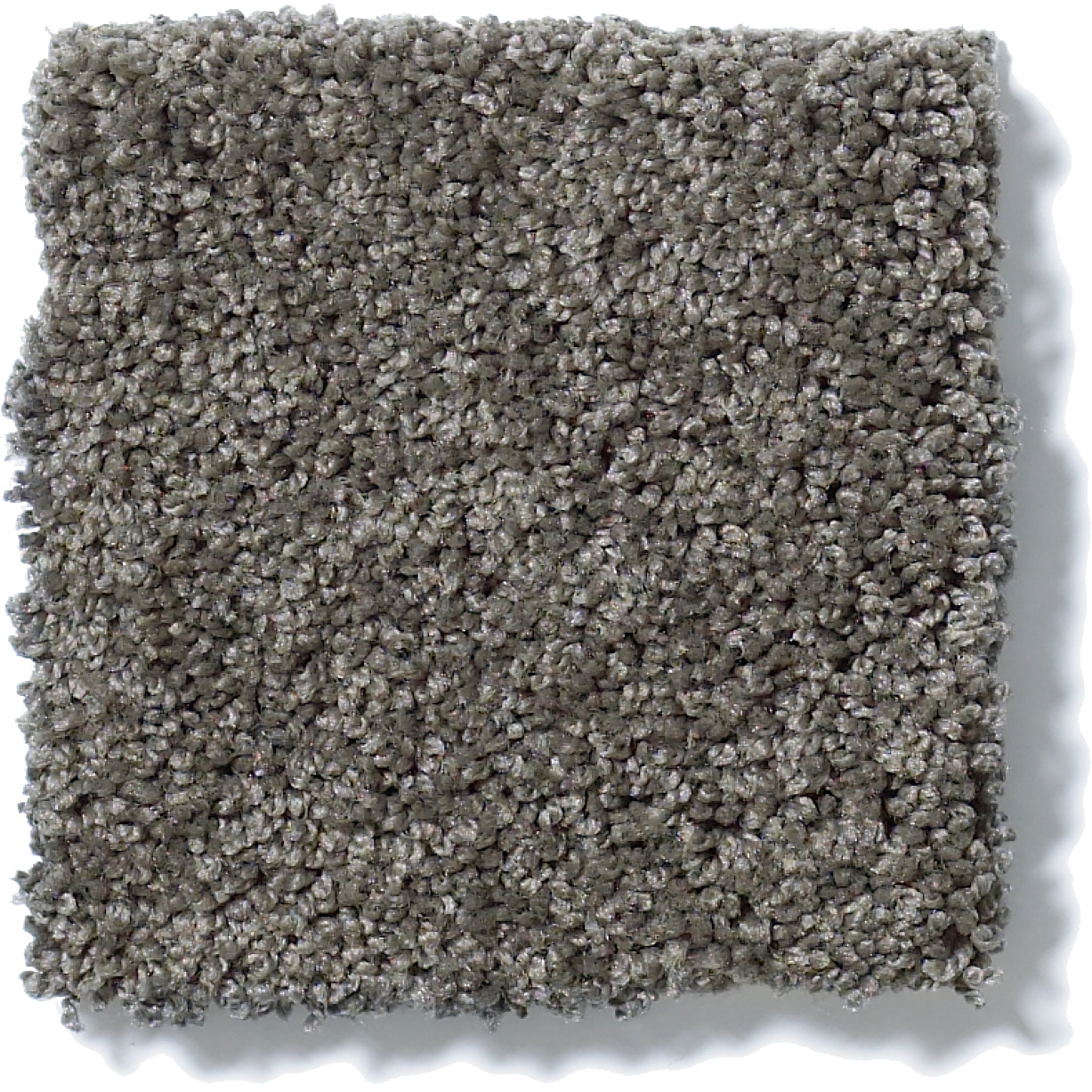 MY CHOICE II GRAPHITE SWATCH