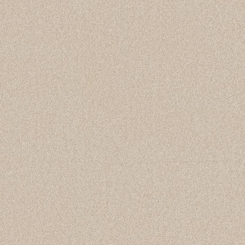 You Know It Broadloom Carpet in Rich Earth color, 12ft wide, made of 100% nylon material