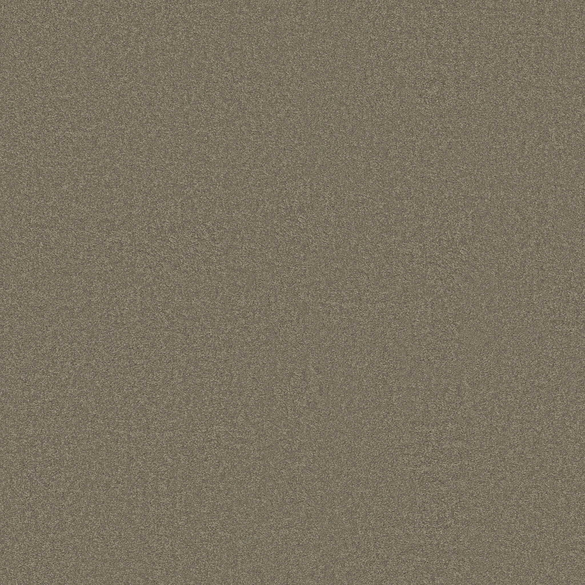 SHINGLE CREEK IV 15' WOOD SMOKE MAIN