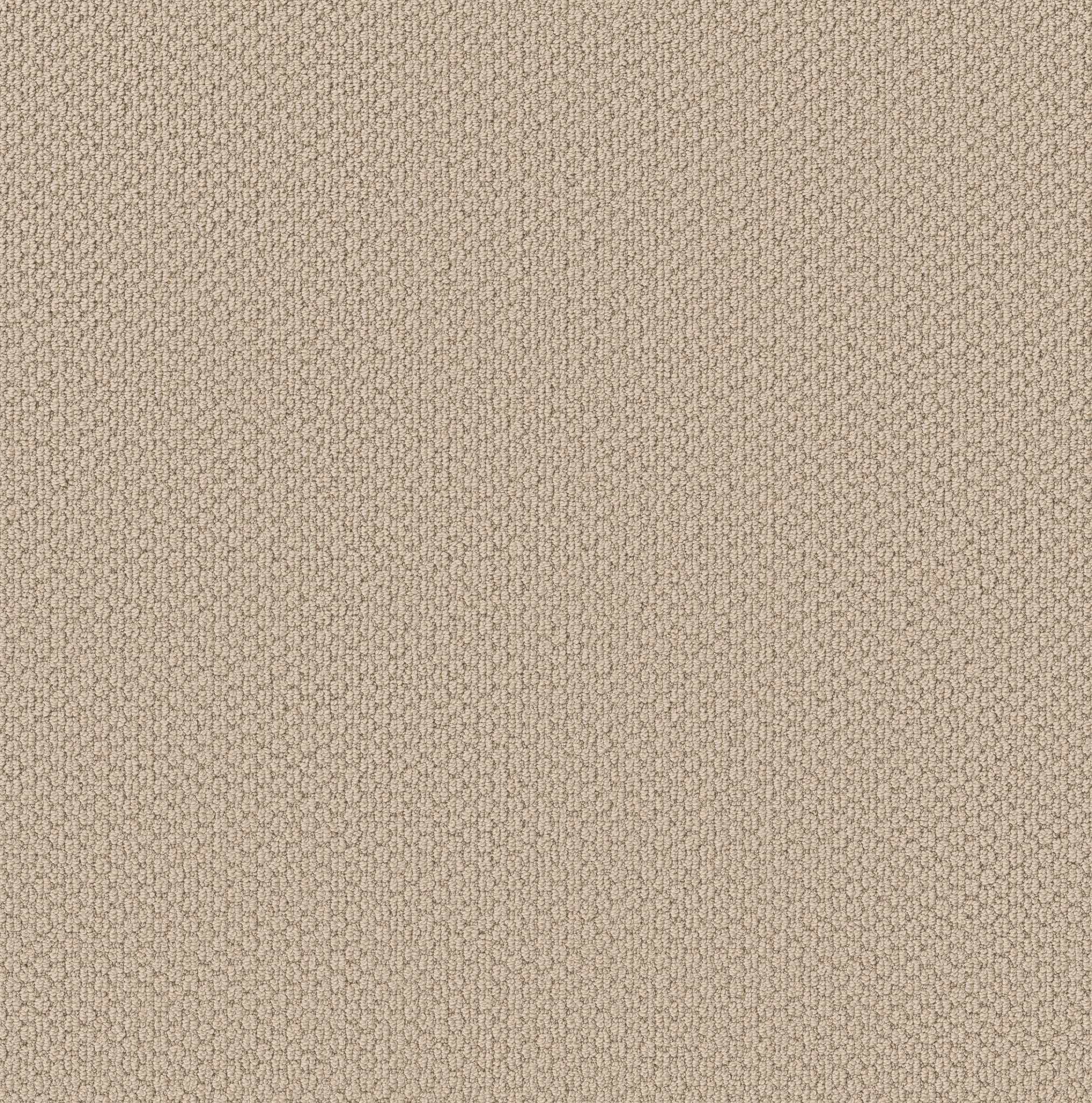 AG In The Loop COASTLAND MAIN