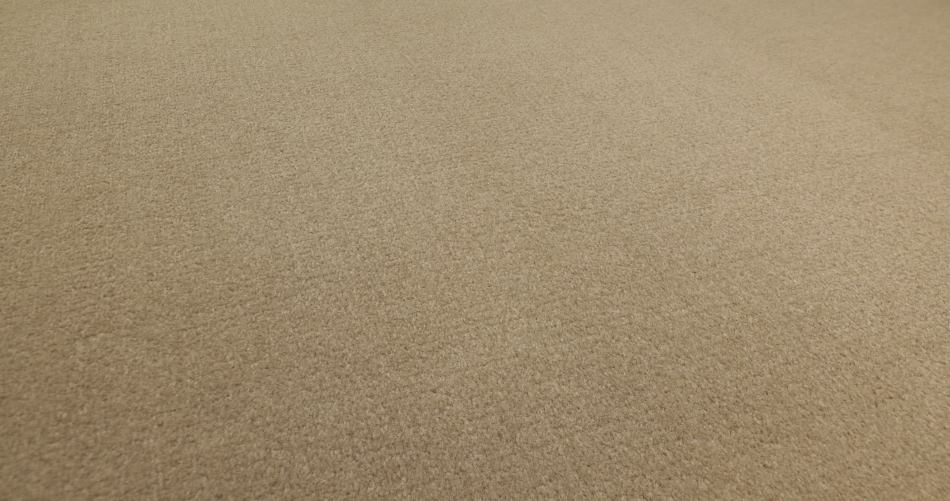 Scepter II Sesame Rotation360
