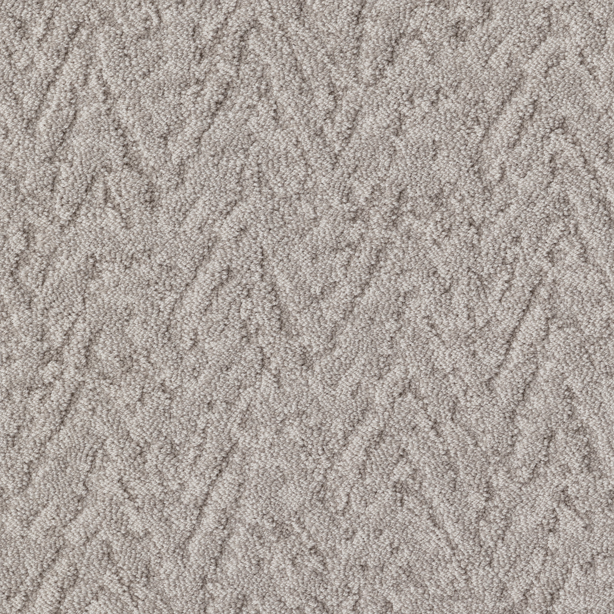 LAVISH LIVING COLD WINTER MAIN