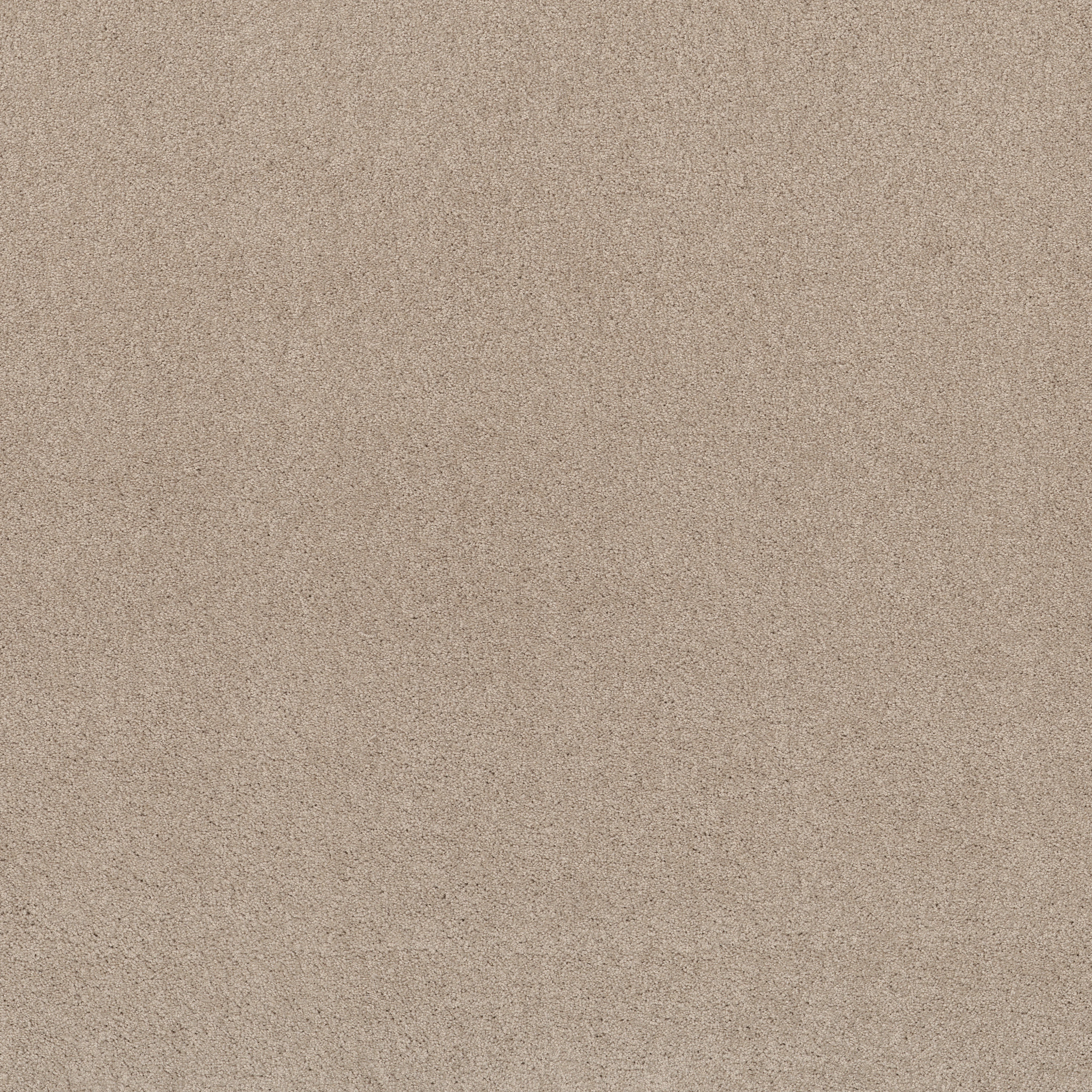 AG TIMELESS VANILLA MAIN