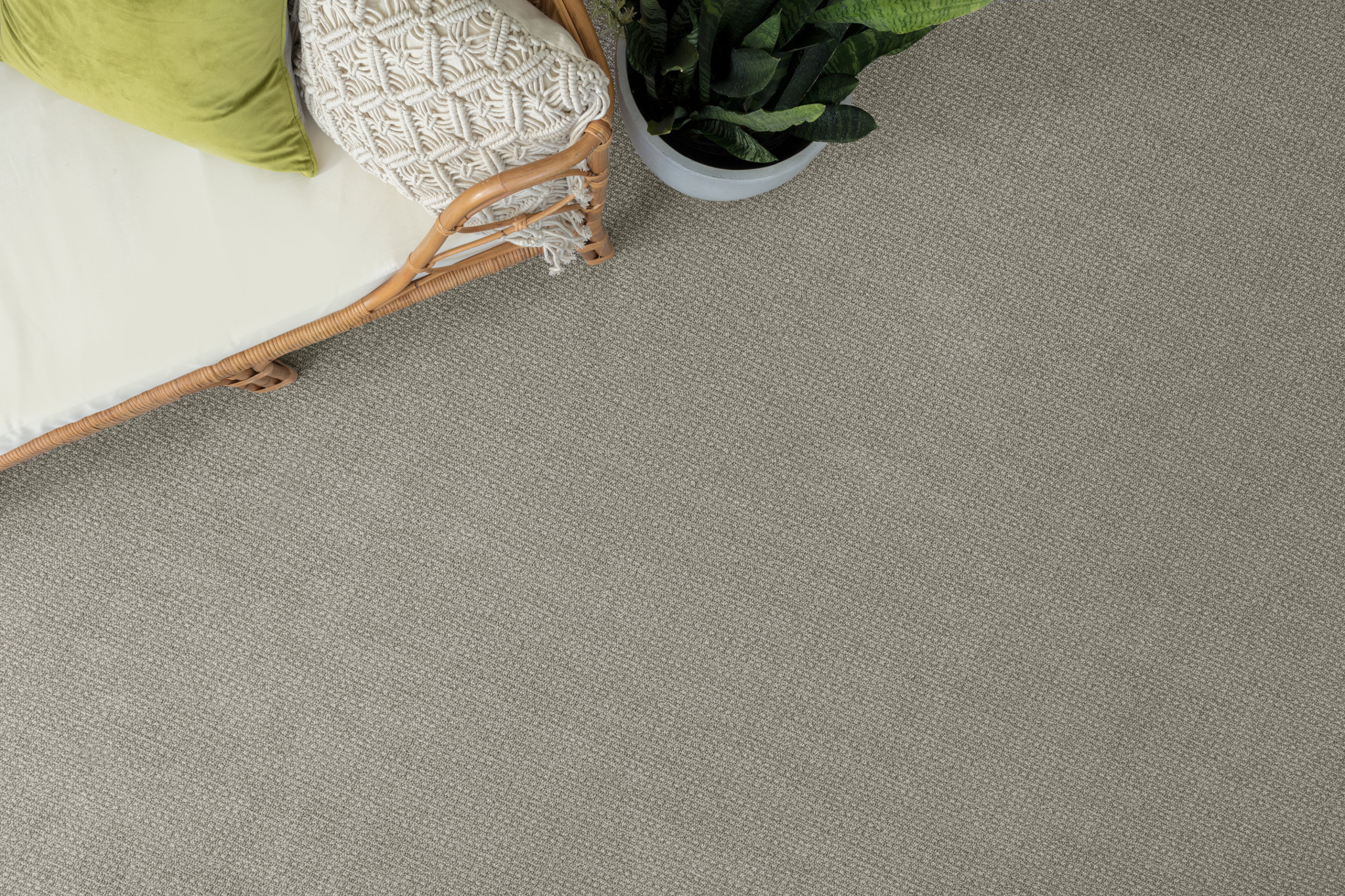 FETCH BRIARWOOD StaticImage01