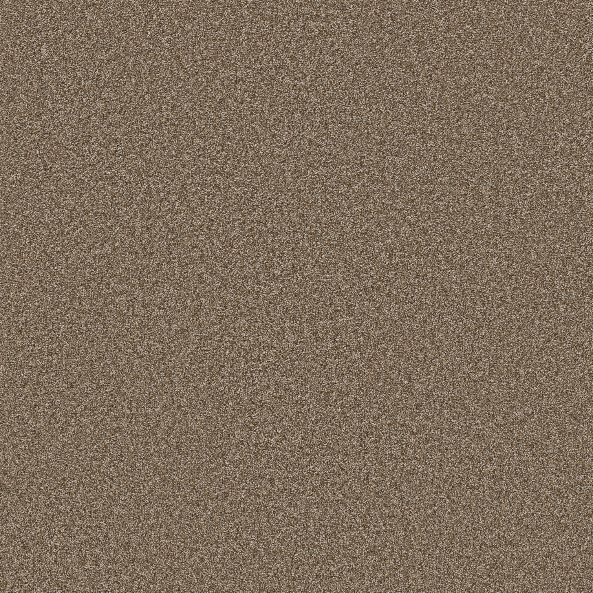 AFFIRMATION II SPANISH BROWN MAIN