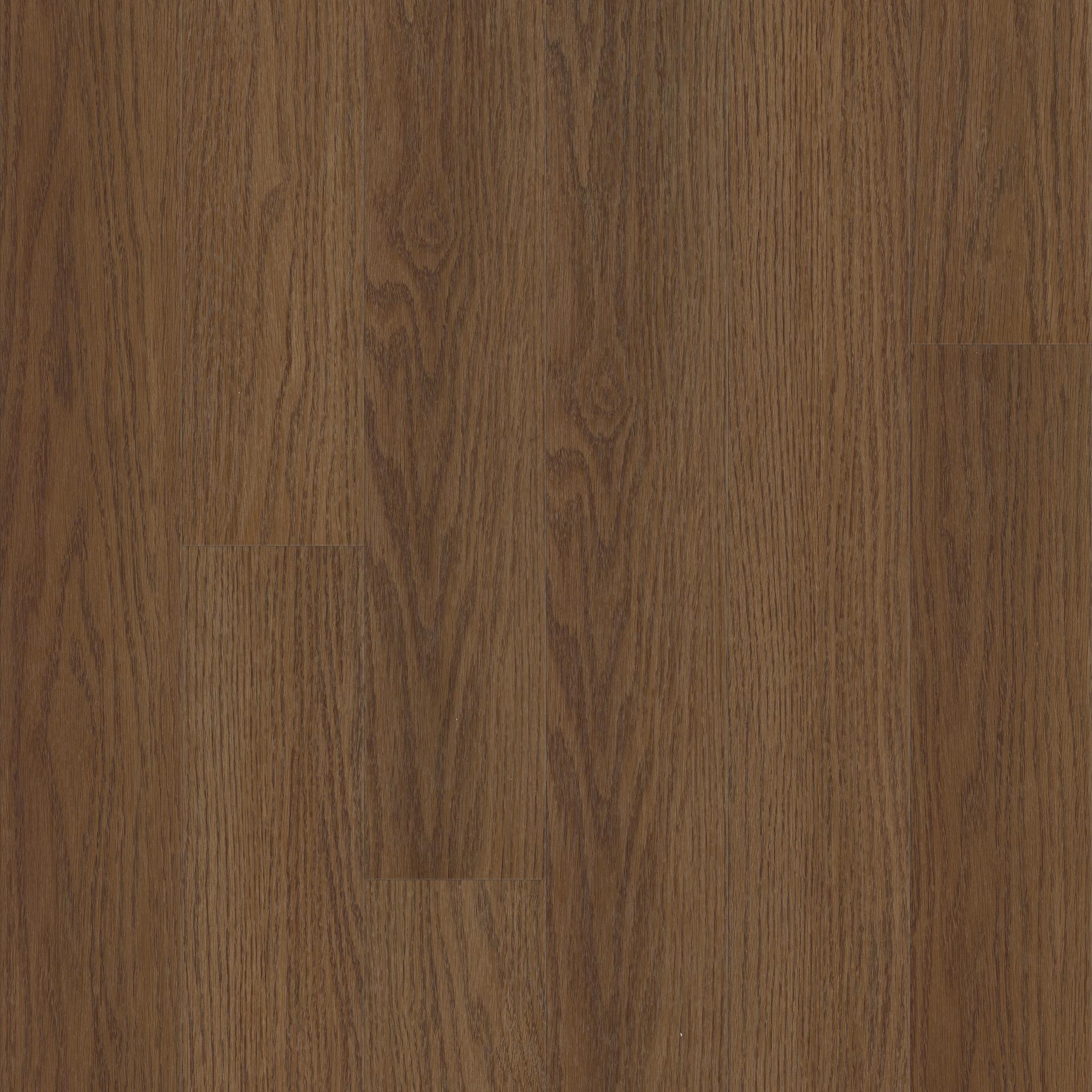 Traditions in Saddle Oak
