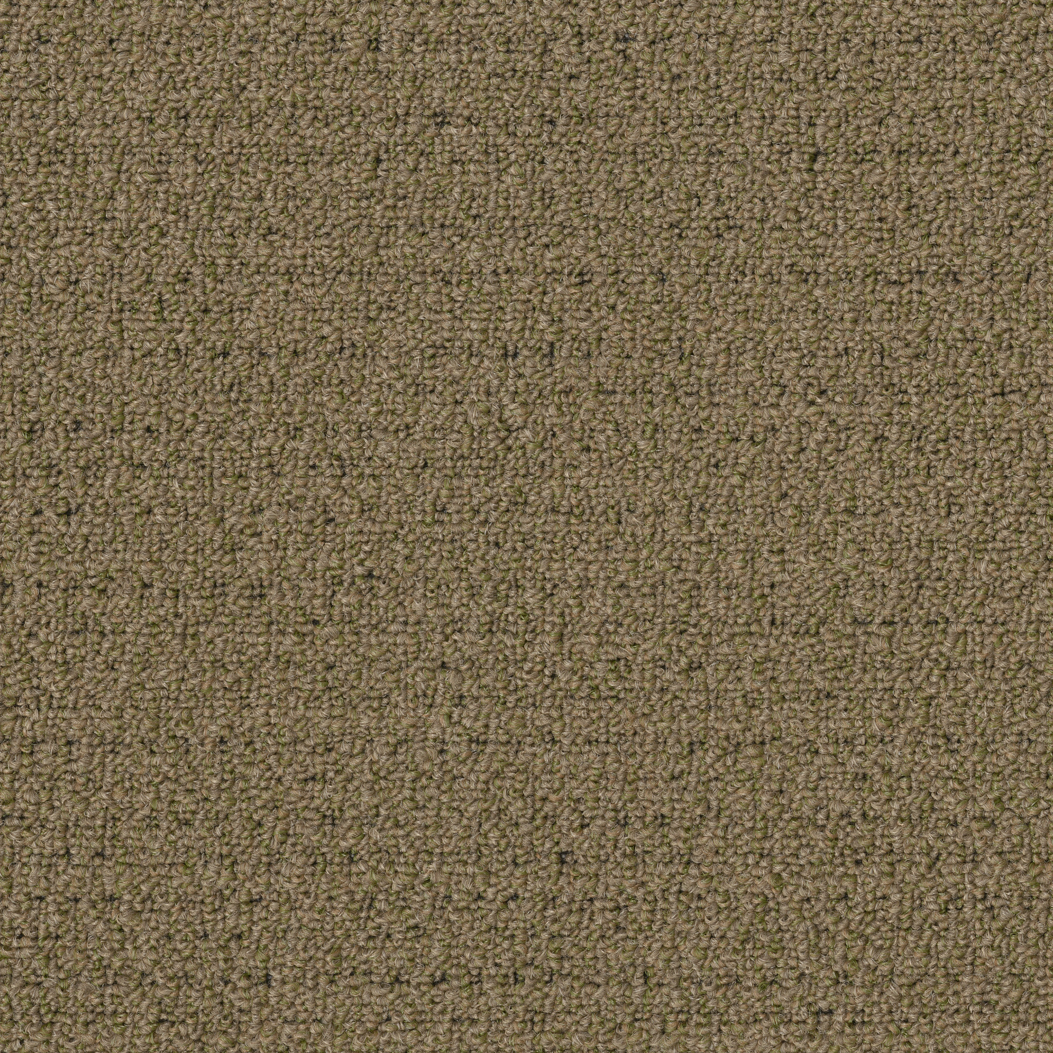 GARDENSCAPE-(T)-54629-WHEAT-GRASS-00700-main-image