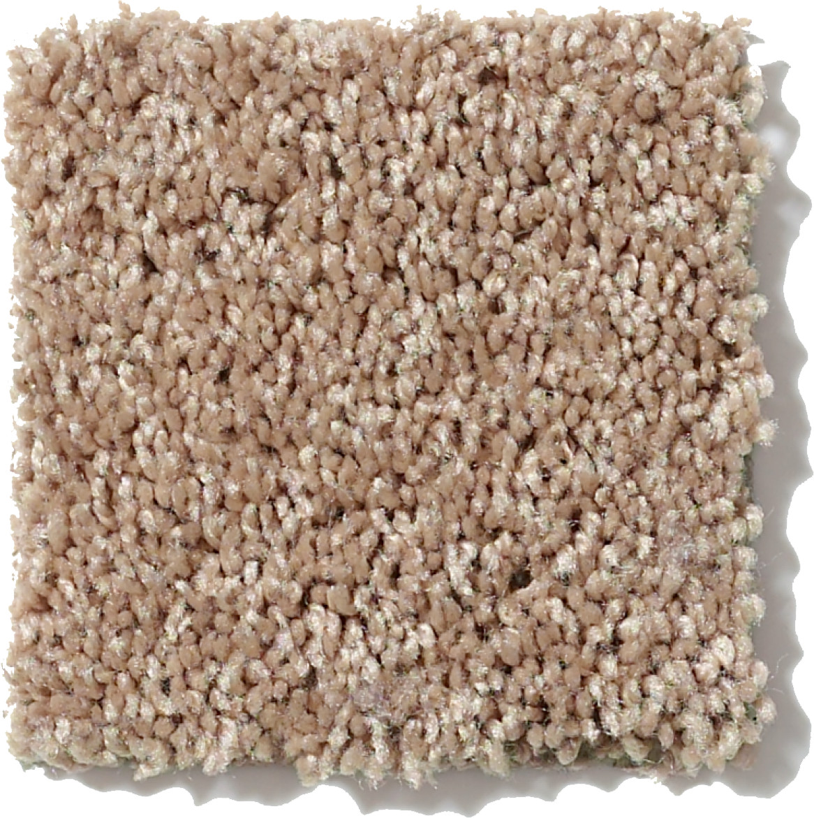 ALL STAR WEEKEND III 15' GOLDEN ECHOES SWATCH