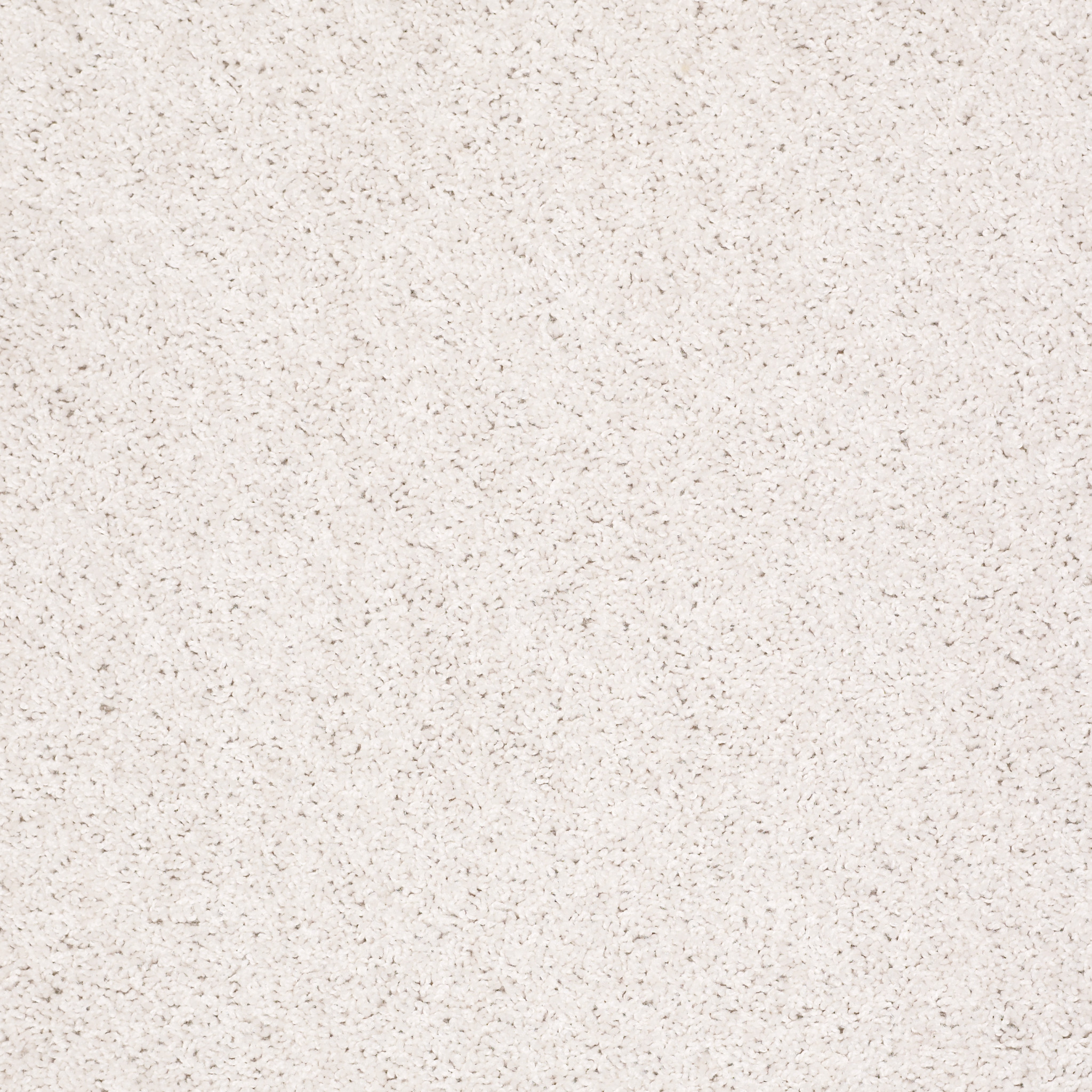 ROYAL PORTRUSH I 15 HALO MAIN