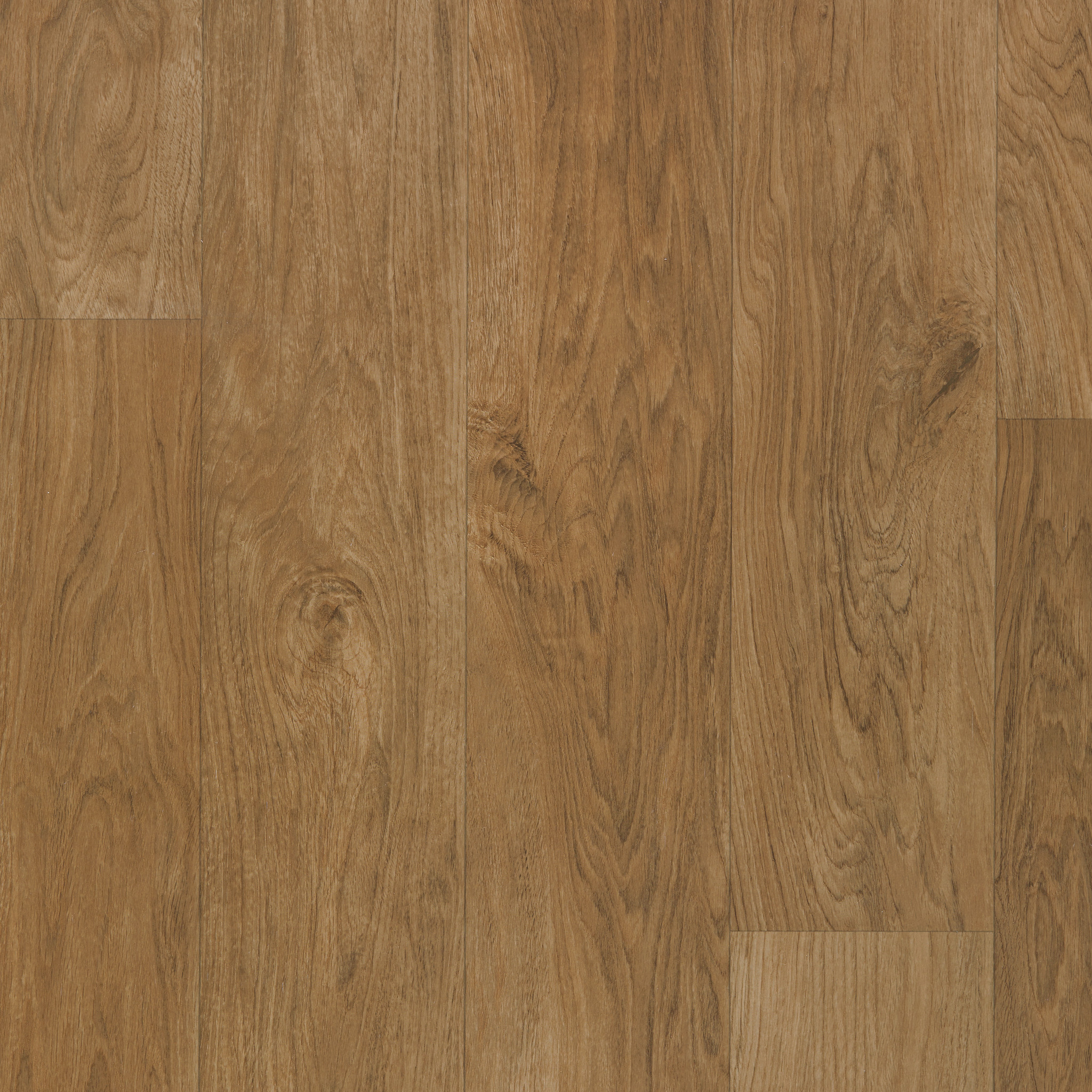 ORGANIC-STRUCTURE-5471V-TOAST-09634-main-image